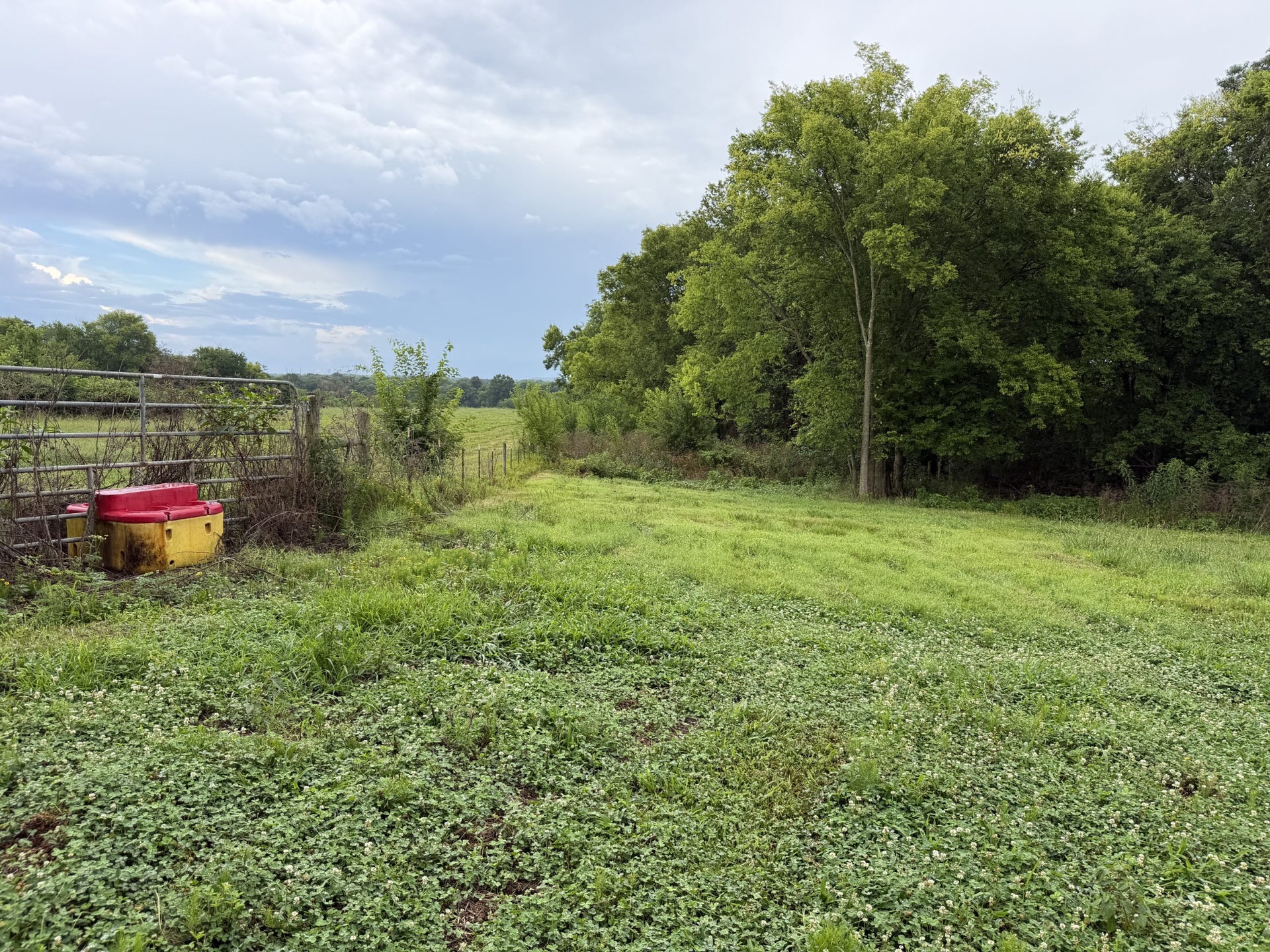 0 Massey Road, Mount Pleasant, TN 38474 0 Massey Road, Mount Pleasant, TN 38474