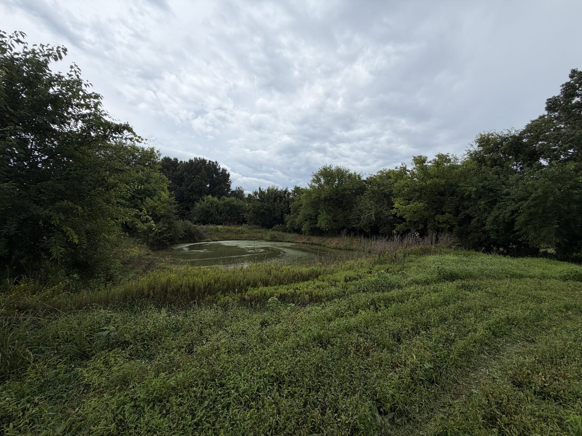 0 Massey Road, Mount Pleasant, TN 38474 0 Massey Road, Mount Pleasant, TN 38474