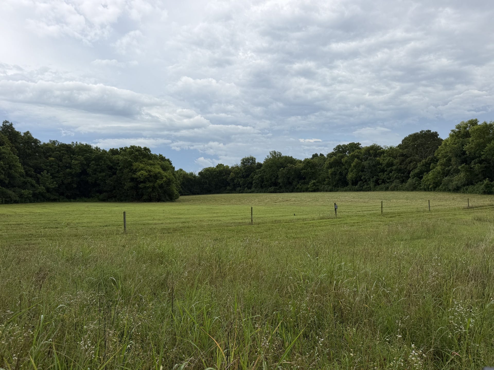 0 Massey Road, Mount Pleasant, TN 38474 0 Massey Road, Mount Pleasant, TN 38474