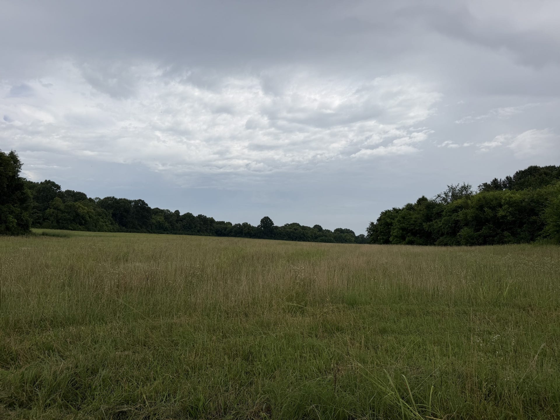 0 Massey Road, Mount Pleasant, TN 38474 0 Massey Road, Mount Pleasant, TN 38474