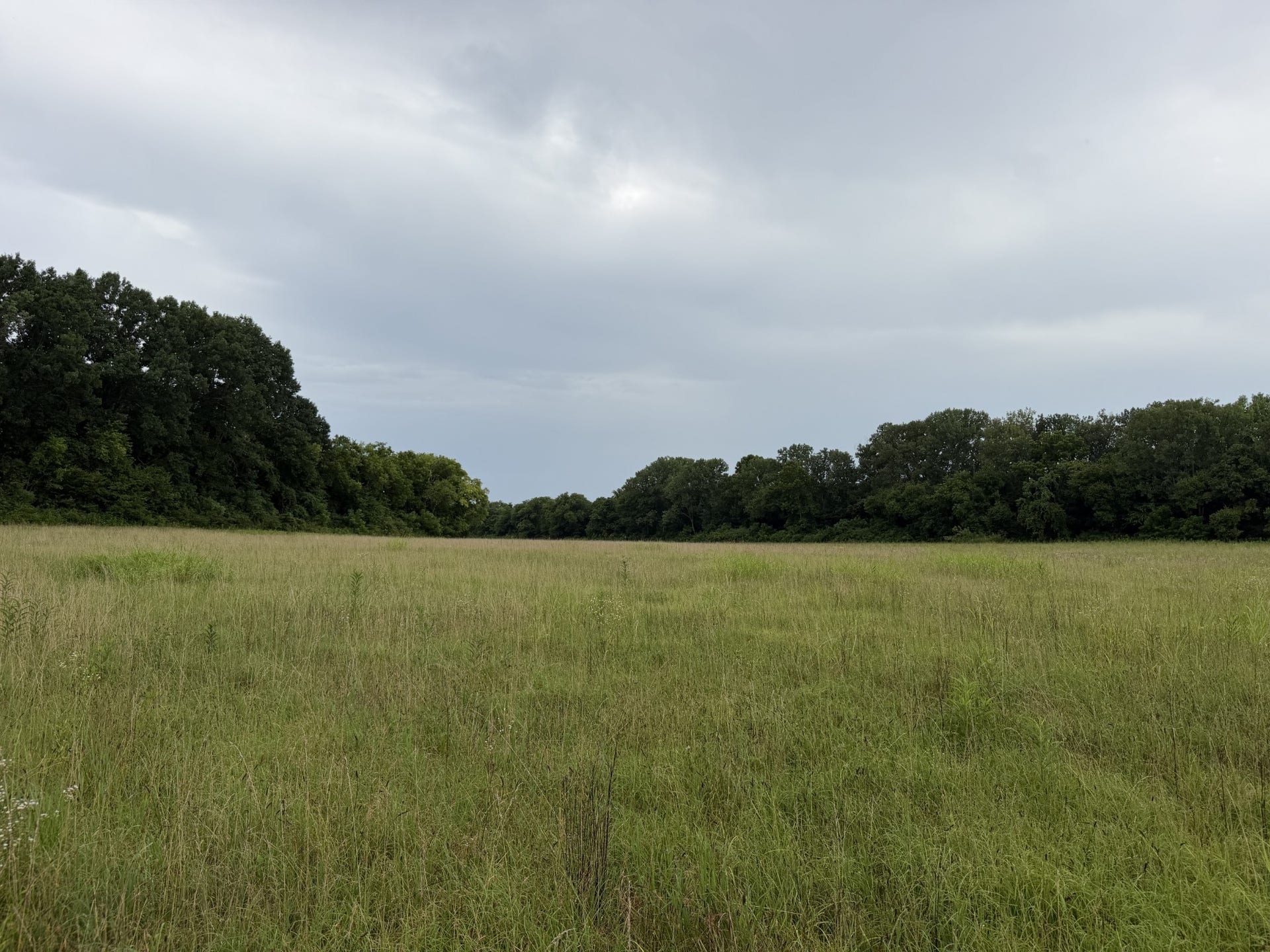 0 Massey Road, Mount Pleasant, TN 38474 0 Massey Road, Mount Pleasant, TN 38474