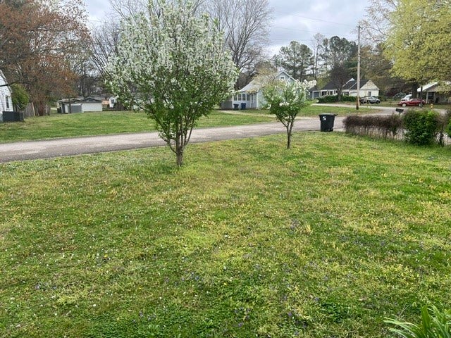 418 Westover Dr, Columbia, TN 38401 418 Westover Dr, Columbia, TN 38401