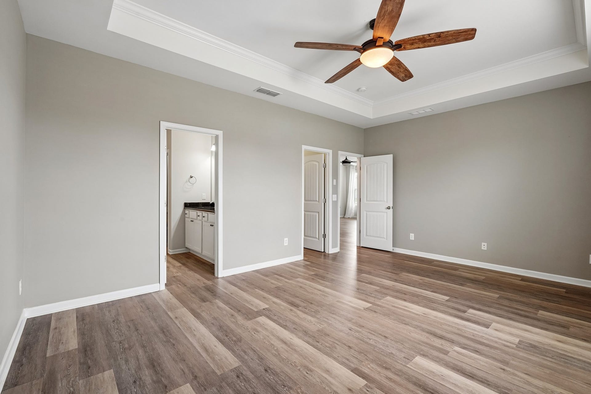 3438 Hyde Ct, Murfreesboro, TN 37128 Trey ceiling