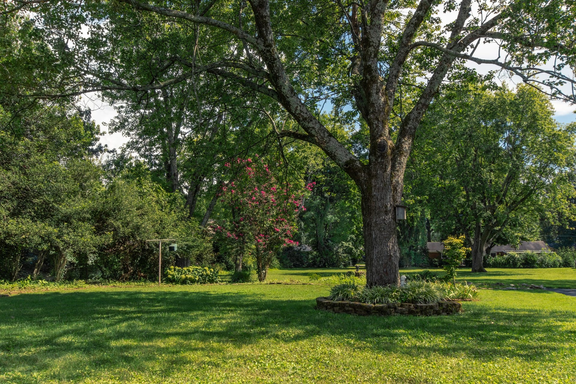 2010 Sanders Ct, Murfreesboro, TN 37129 2010 Sanders Ct, Murfreesboro, TN 37129