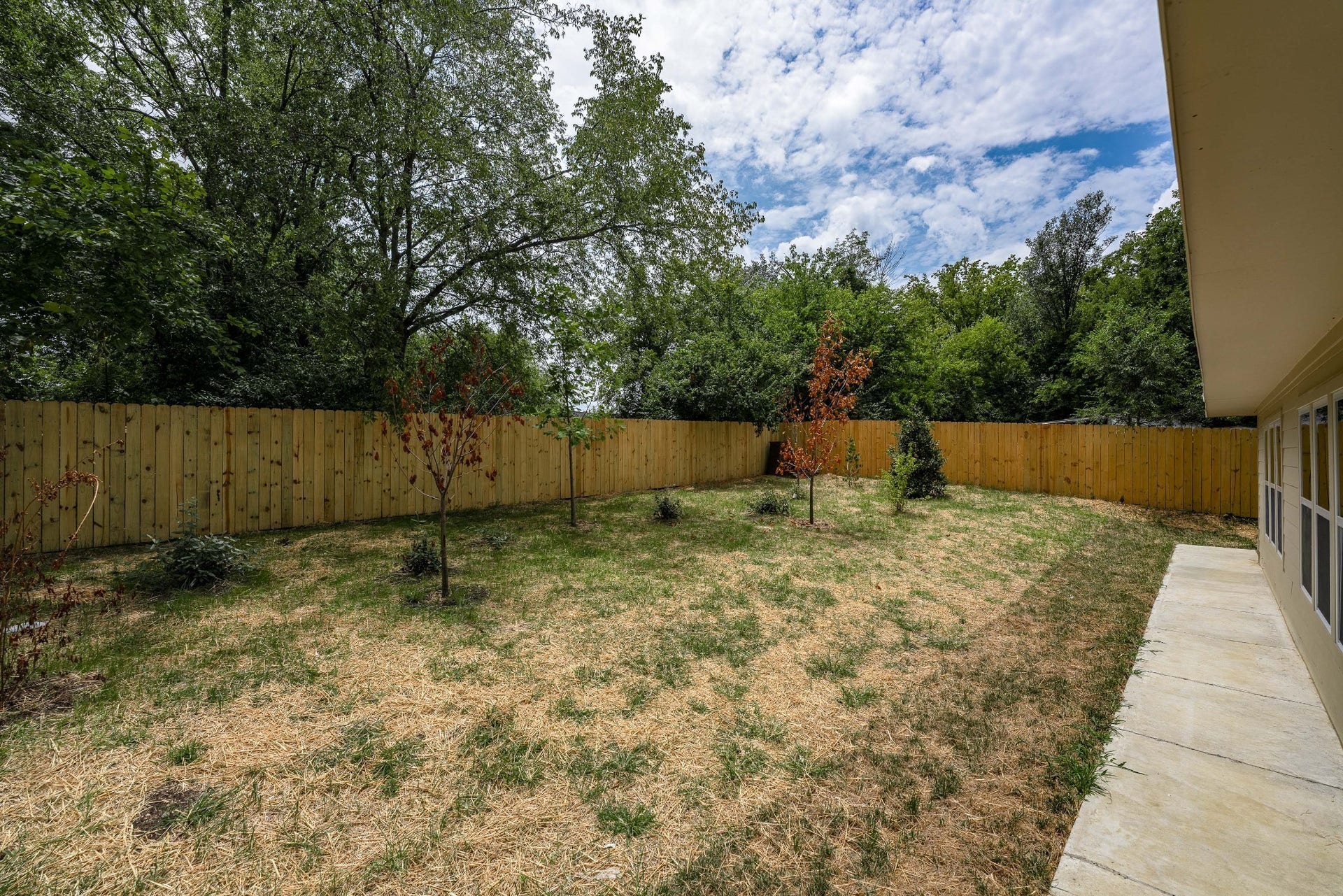 428 E Trinity Ln, #B, Nashville, TN 37207 Backyard Common area shared with all Units A,B,C,D.