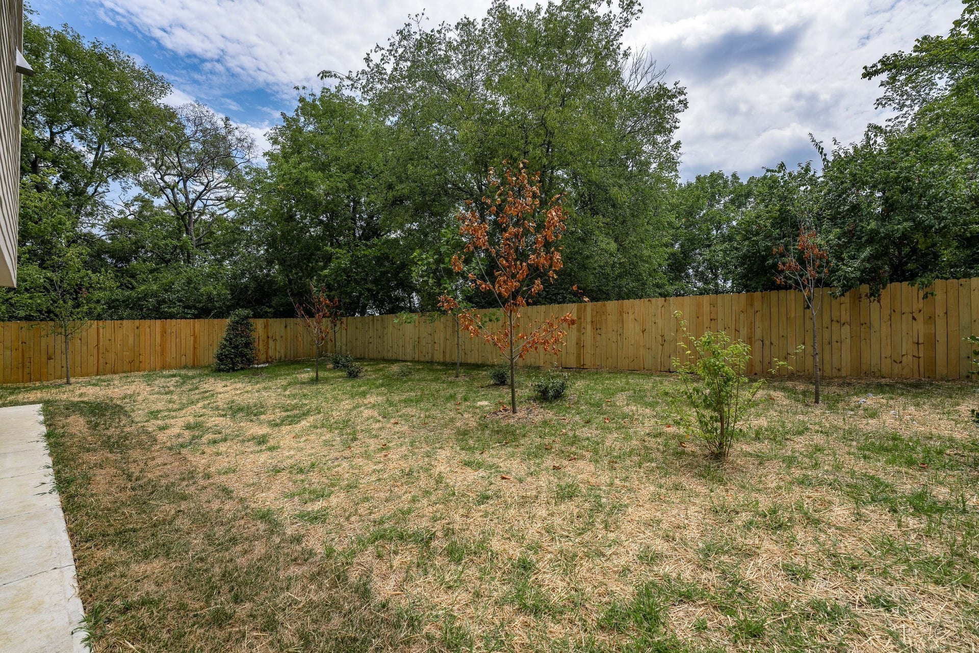 428 E Trinity Ln, #B, Nashville, TN 37207 Backyard Common Area Space View #2