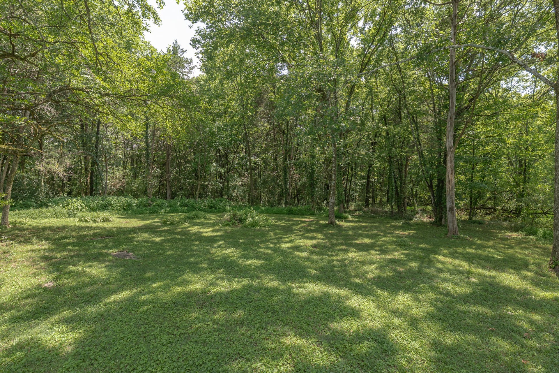 371 Holly Grove Rd, Lewisburg, TN 37091 371 Holly Grove Rd, Lewisburg, TN 37091
