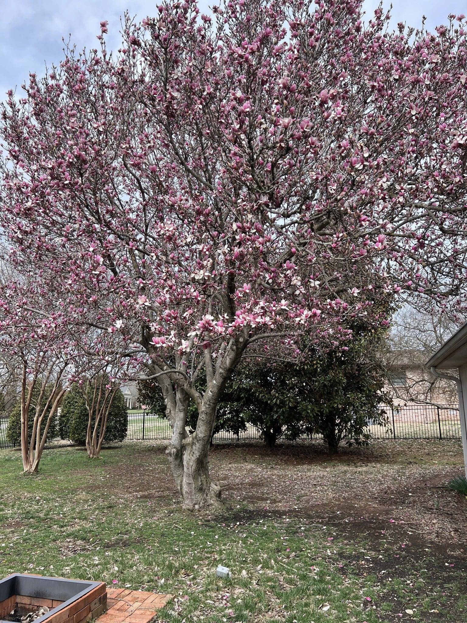 1814 Avon Rd, Murfreesboro, TN 37129 1814 Avon Rd, Murfreesboro, TN 37129