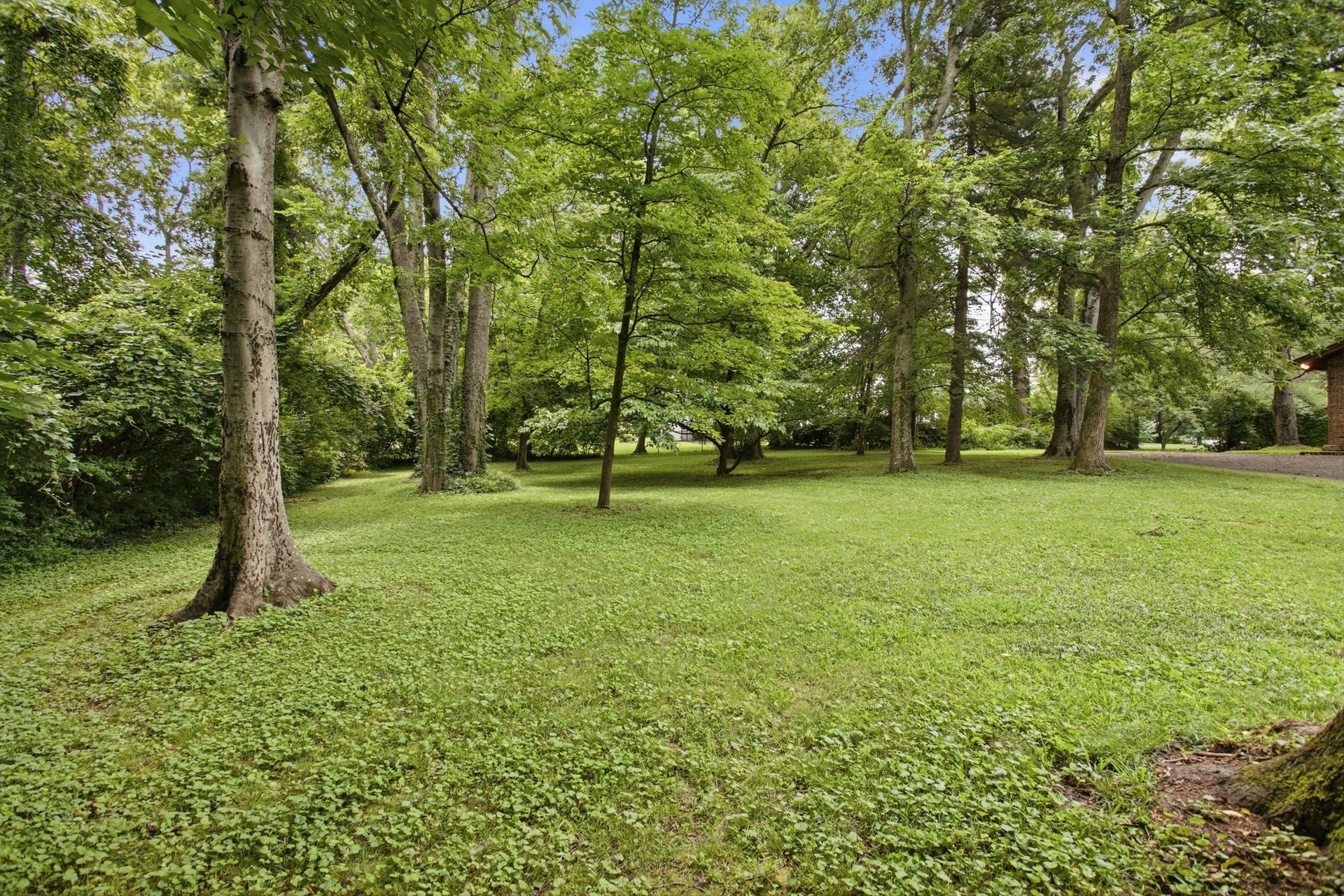 1004 Hillcrest Ave, Columbia, TN 38401 1004 Hillcrest Ave, Columbia, TN 38401
