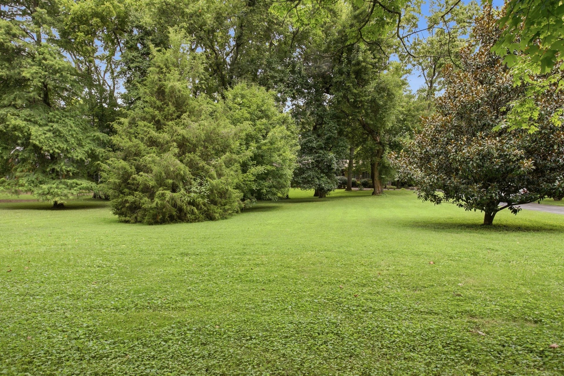 1004 Hillcrest Ave, Columbia, TN 38401 1004 Hillcrest Ave, Columbia, TN 38401