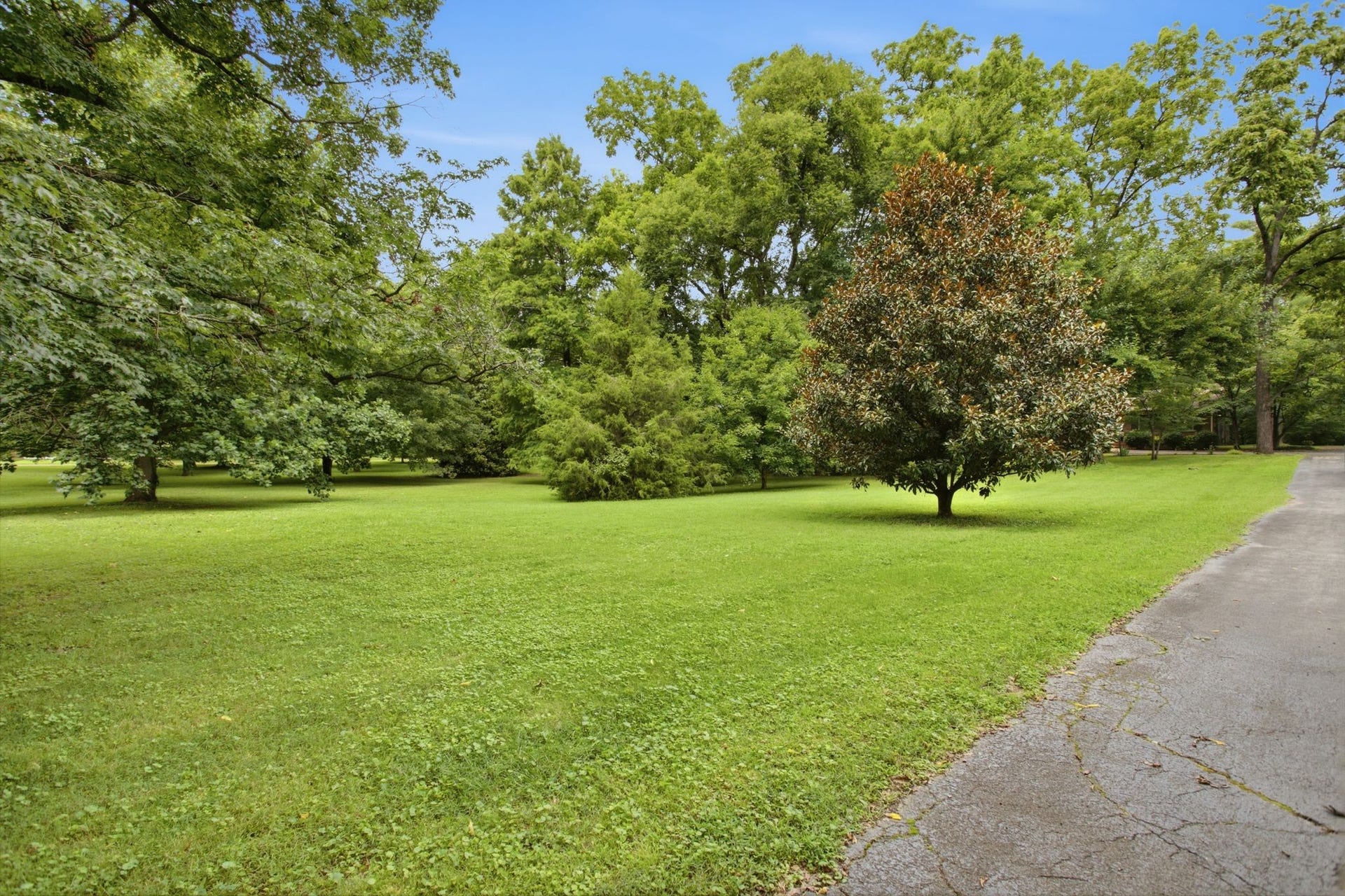 1004 Hillcrest Ave, Columbia, TN 38401 1004 Hillcrest Ave, Columbia, TN 38401