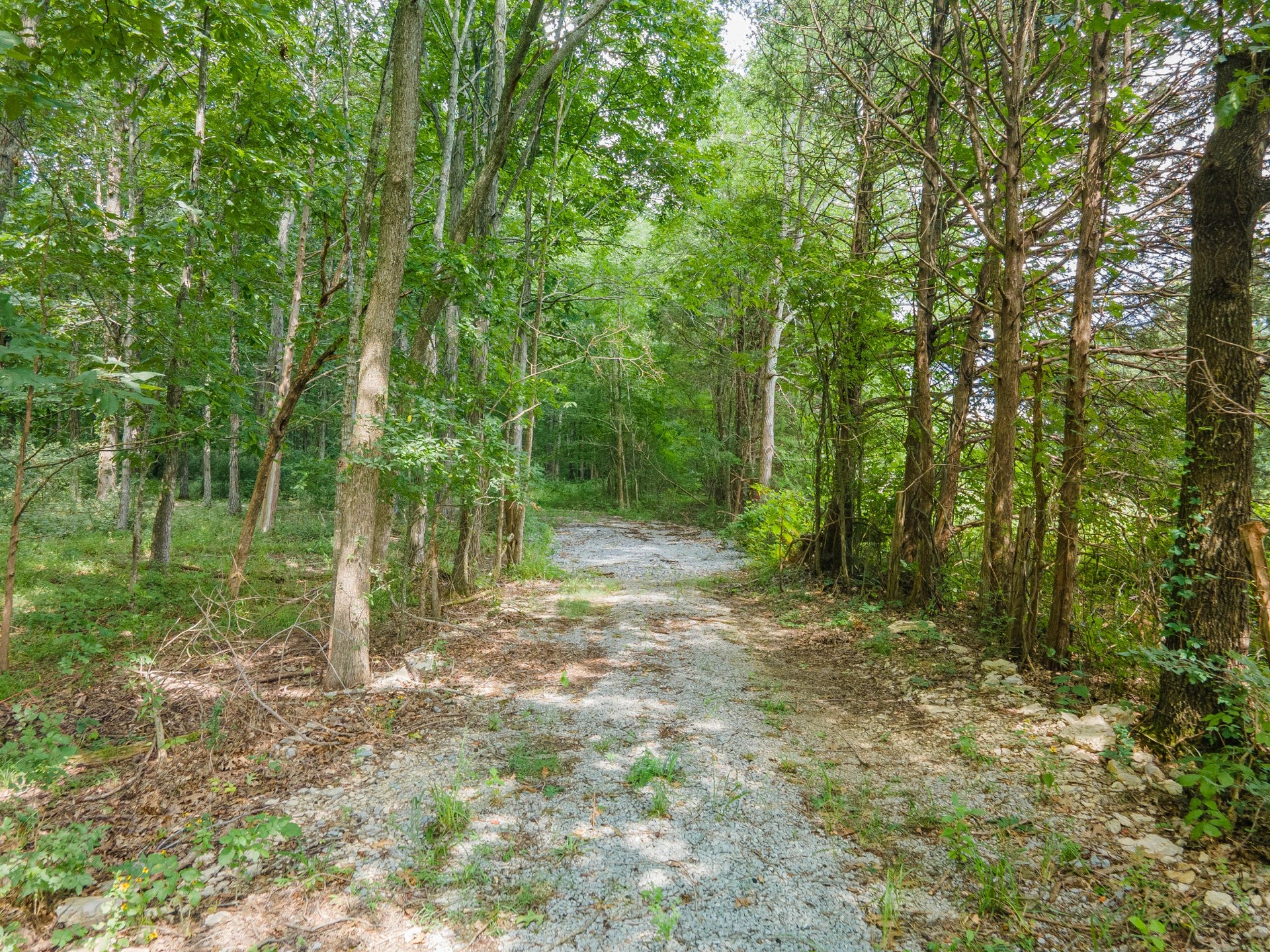 2287 Will Nickens Rd, Lewisburg, TN 37091 2287 Will Nickens Rd, Lewisburg, TN 37091