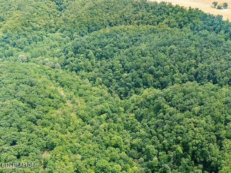 0 K Parker Rd, Woodbury, TN 37190 0 K Parker Rd, Woodbury, TN 37190