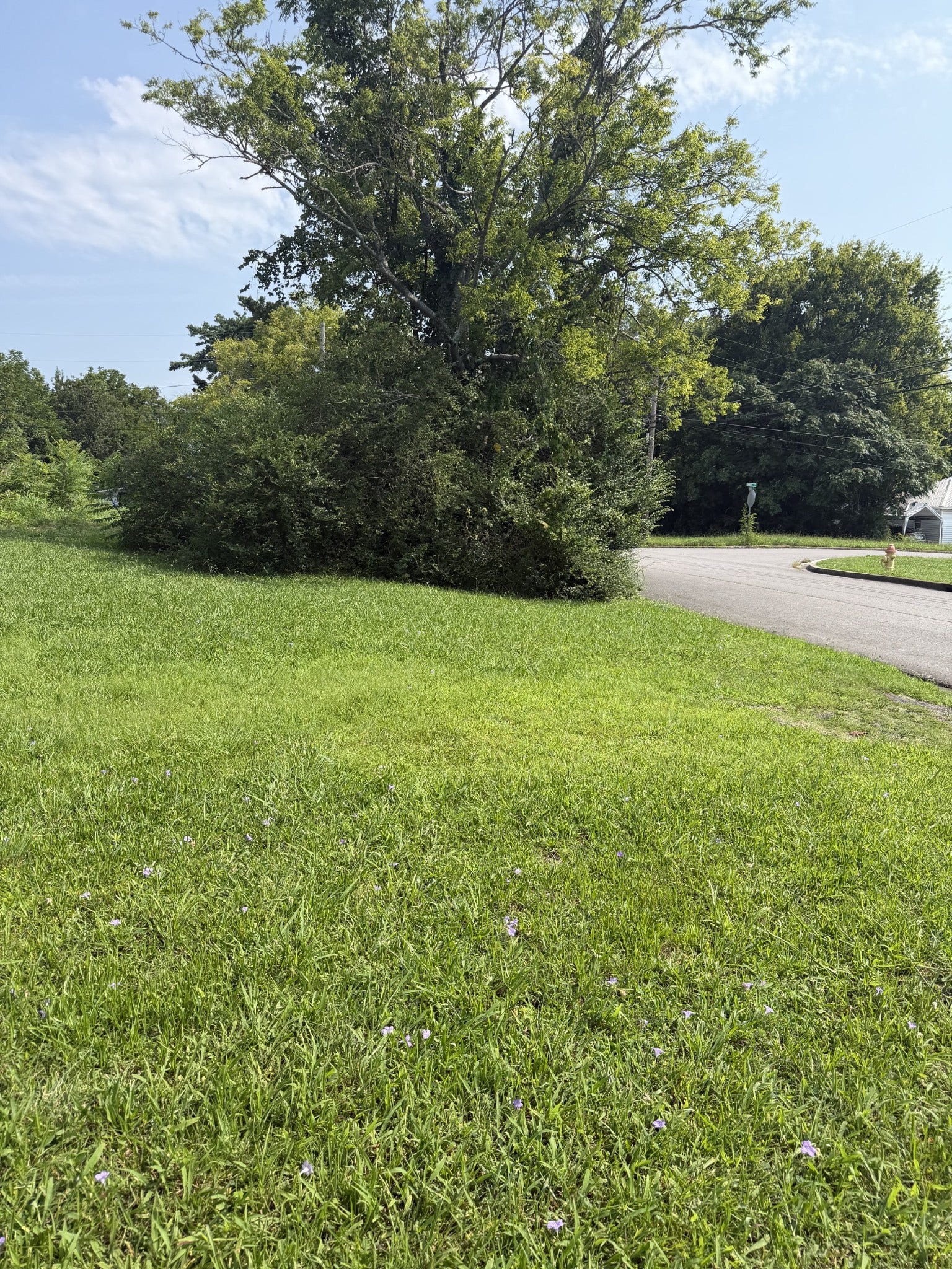 0 Morton St, Shelbyville, TN 37160