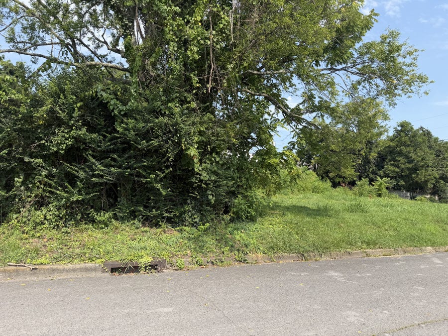 Property photo for 0 Morton St, Shelbyville, TN