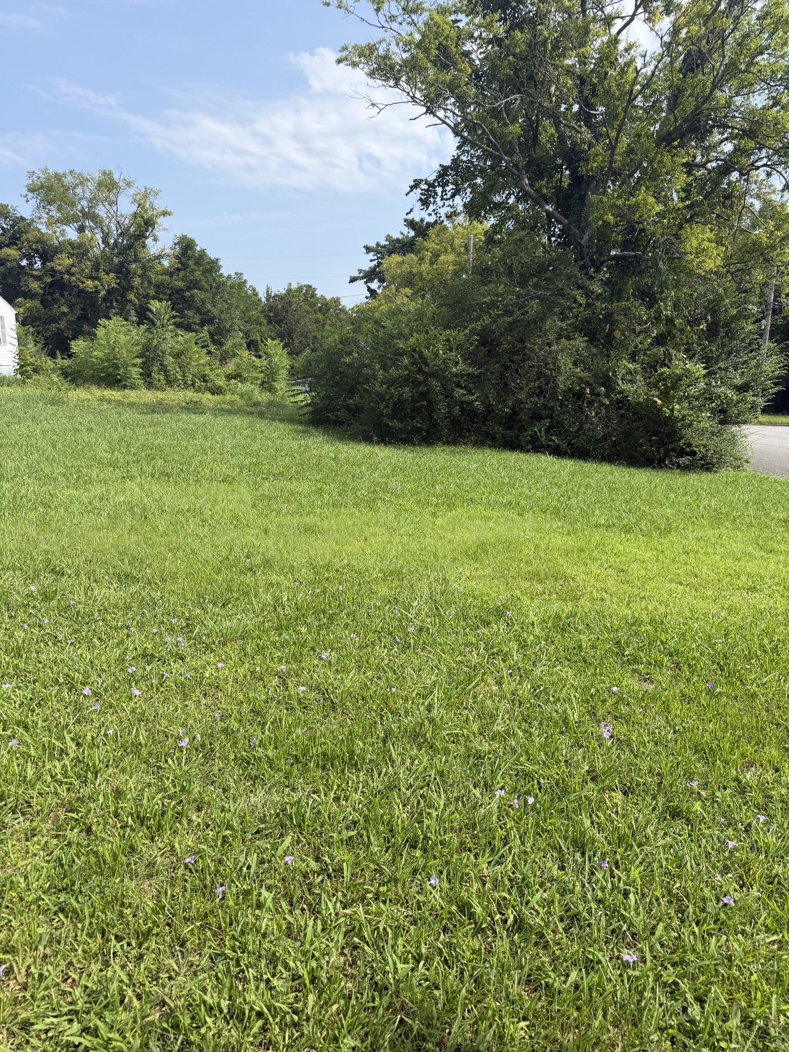 0 Morton St, Shelbyville, TN 37160