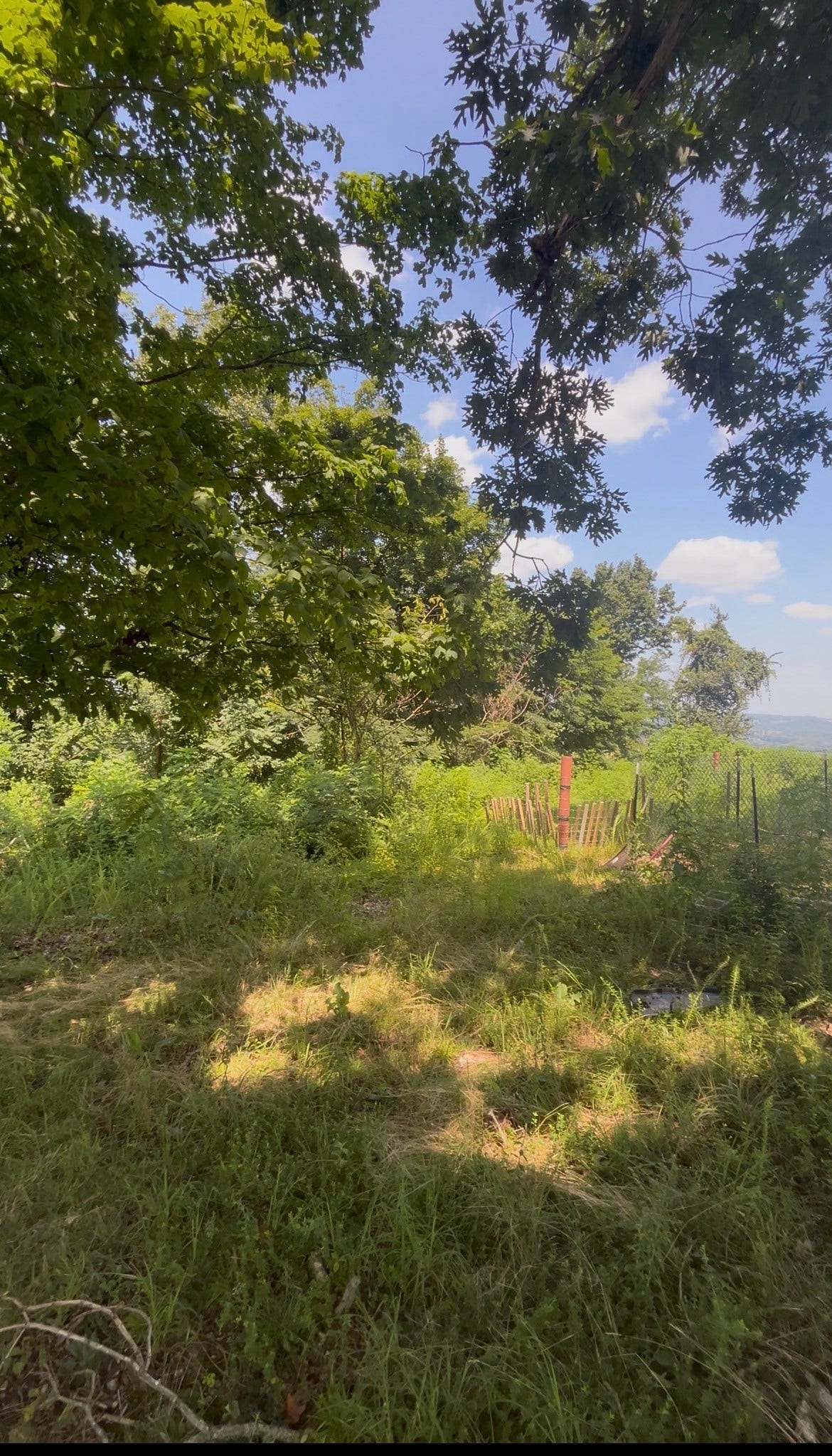 3630 Booker Ridge Rd, Mount Pleasant, TN 38474 3630 Booker Ridge Rd, Mount Pleasant, TN 38474