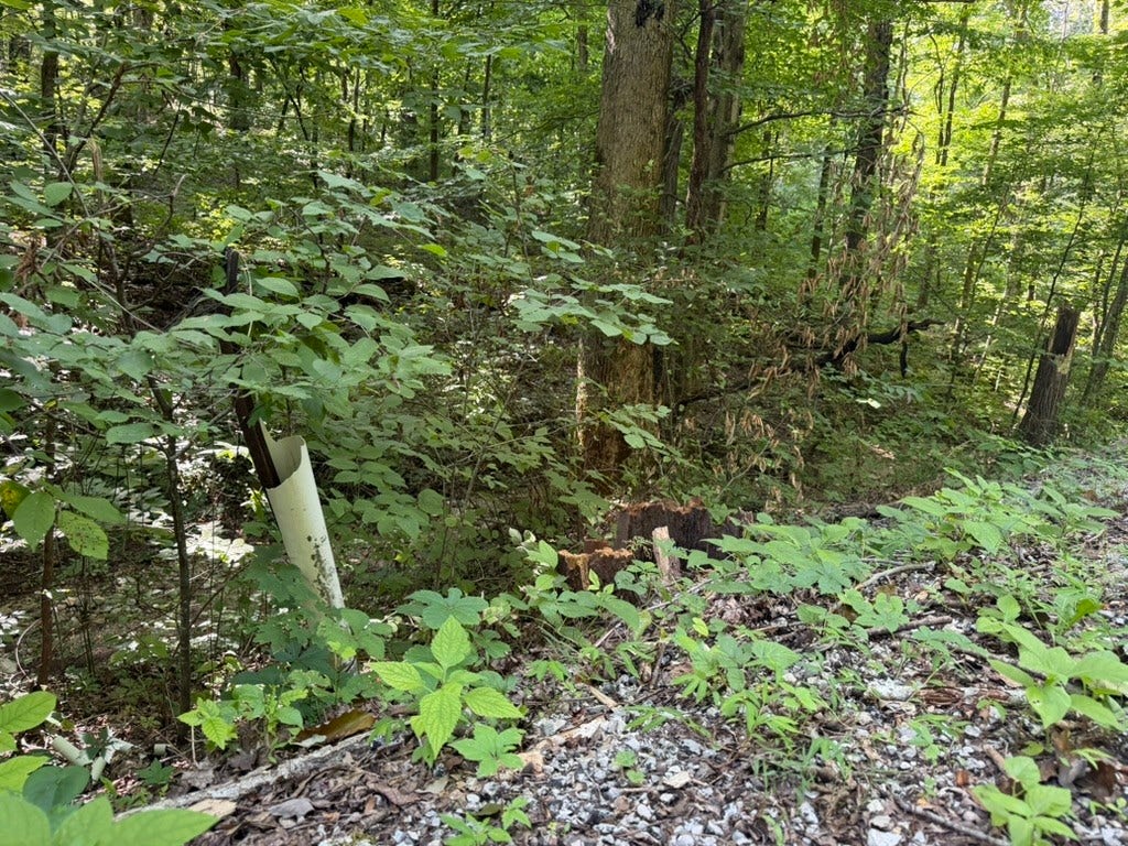 0 Roy Thompson, Mount Pleasant, TN 38474 0 Roy Thompson, Mount Pleasant, TN 38474