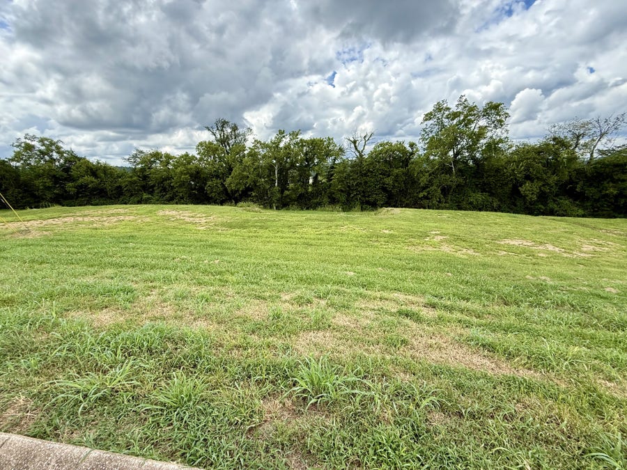 Property photo for 119 Stonecreek Dr, Pulaski, TN
