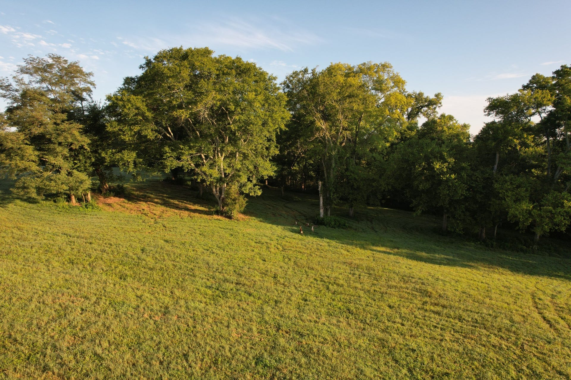 4824 Campbellsville Pike, Columbia, TN 38401 4824 Campbellsville Pike, Columbia, TN 38401