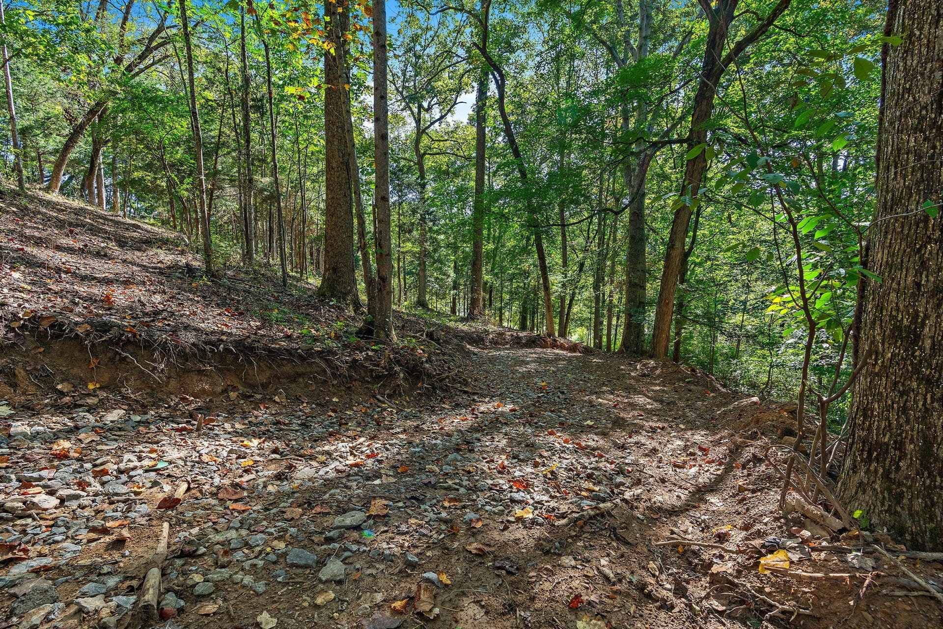 5535 Old Hickory Blvd, Nashville, TN 37218 5535 Old Hickory Blvd, Nashville, TN 37218