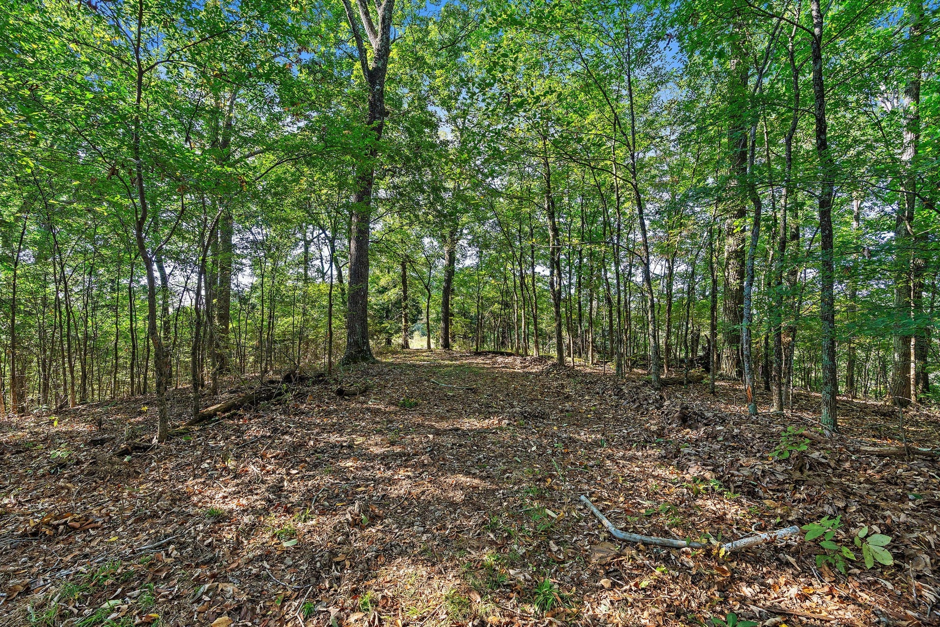 5535 Old Hickory Blvd, Nashville, TN 37218 Top of the hill home site soil tested - with great clearing