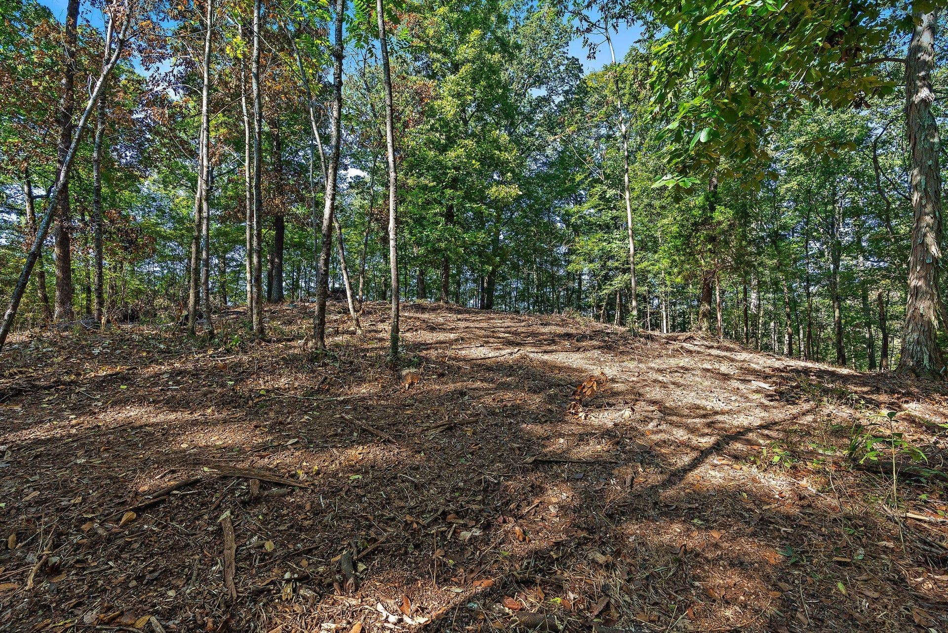 5535 Old Hickory Blvd, Nashville, TN 37218 5535 Old Hickory Blvd, Nashville, TN 37218
