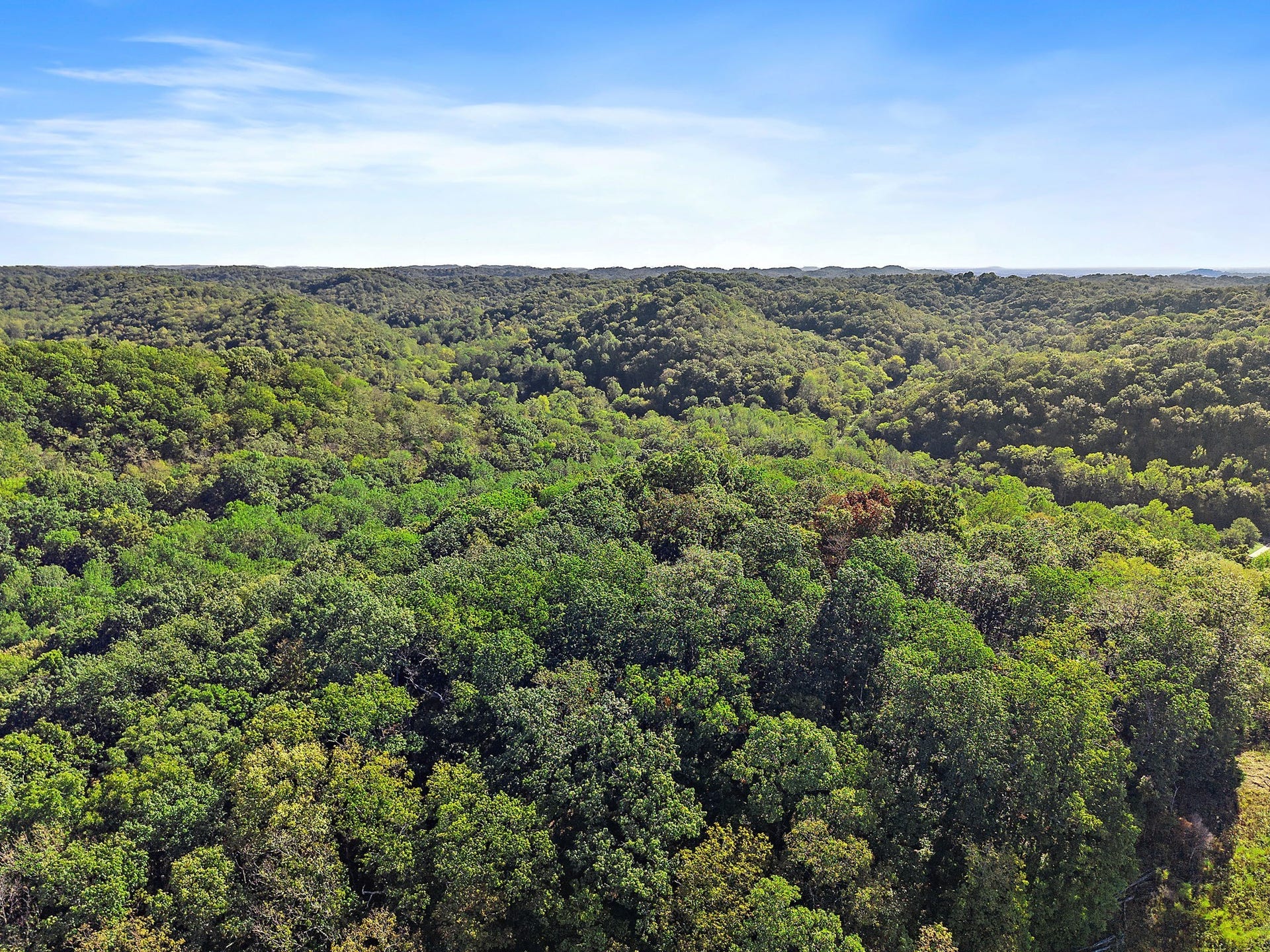 5535 Old Hickory Blvd, Nashville, TN 37218 Imagine your home at the top of the hill among the trees with gorgeous views