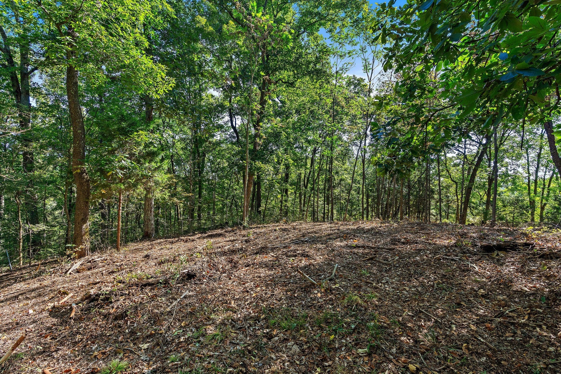 5535 Old Hickory Blvd, Nashville, TN 37218 Large space to build your dream home