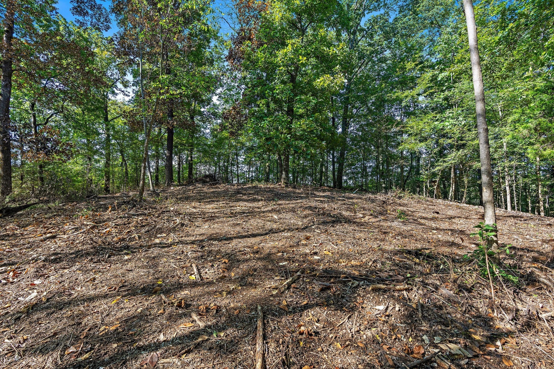 5535 Old Hickory Blvd, Nashville, TN 37218 Home site has already had lots of clearing work