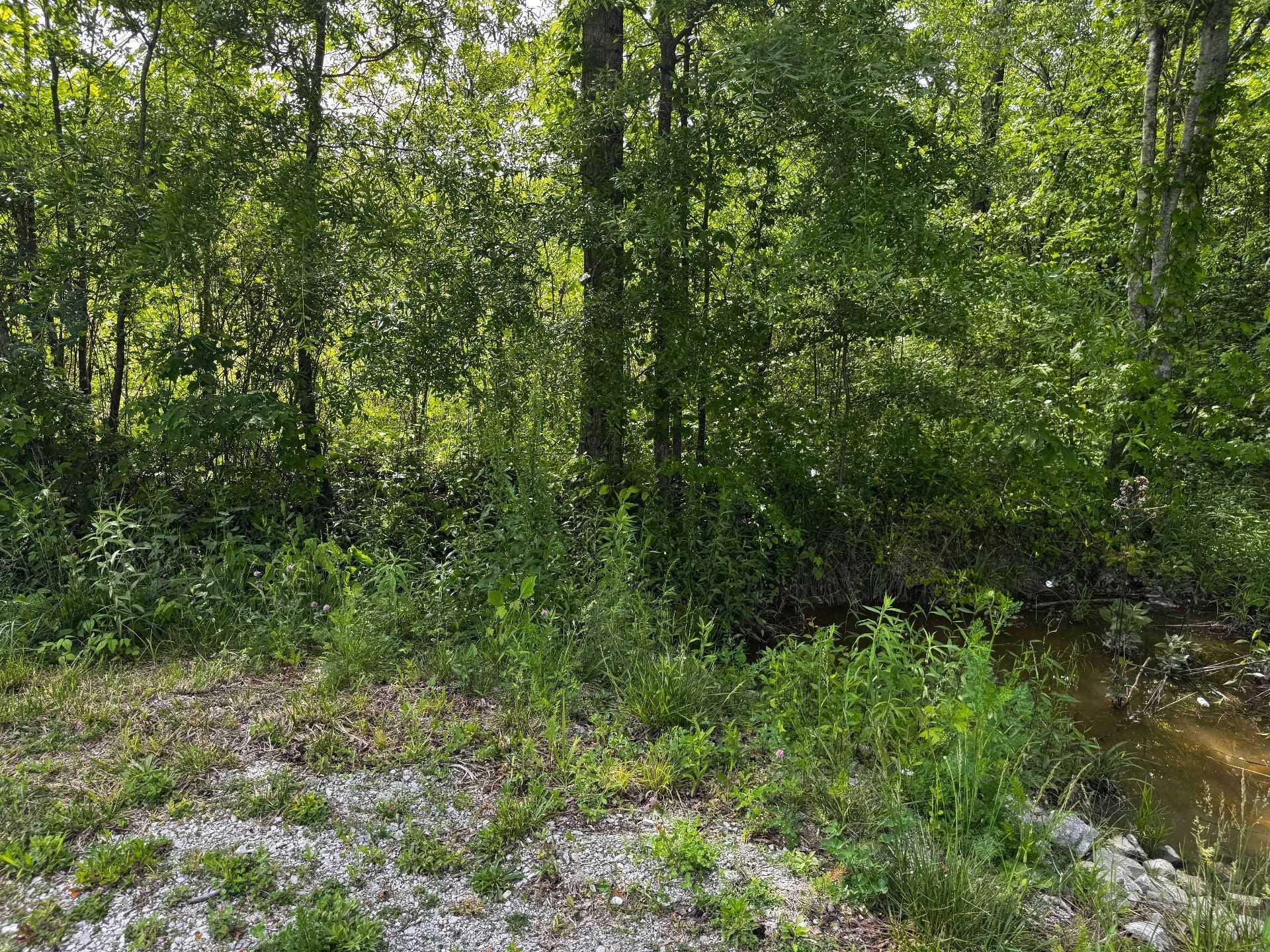 409 Commodore Dr, Manchester, TN 37355 409 Commodore Dr, Manchester, TN 37355