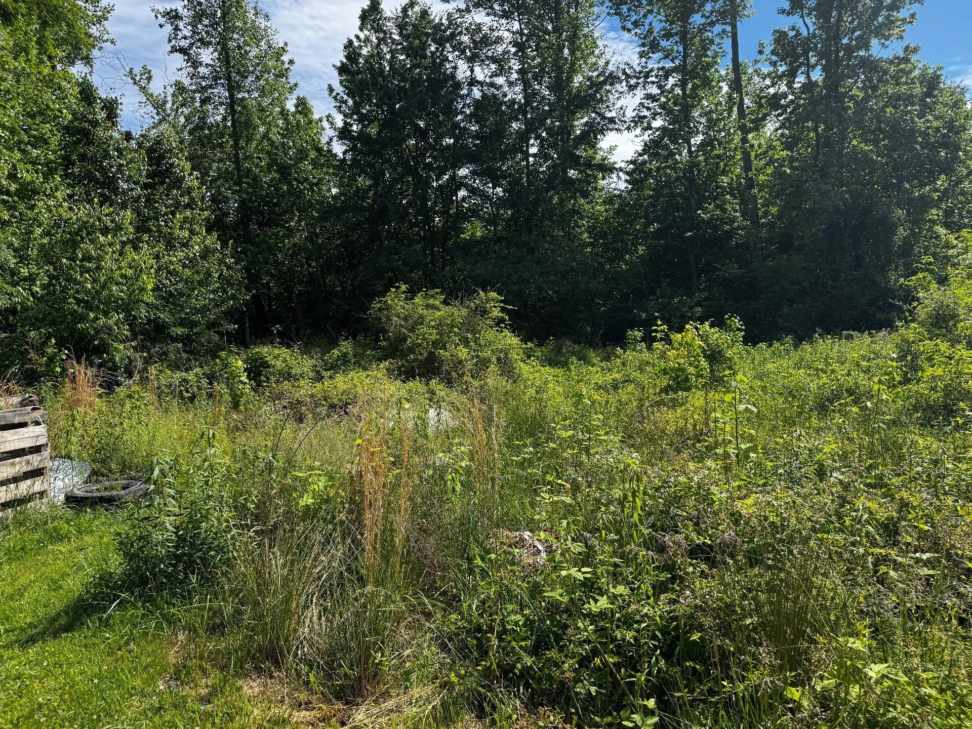 409 Commodore Dr, Manchester, TN 37355 409 Commodore Dr, Manchester, TN 37355