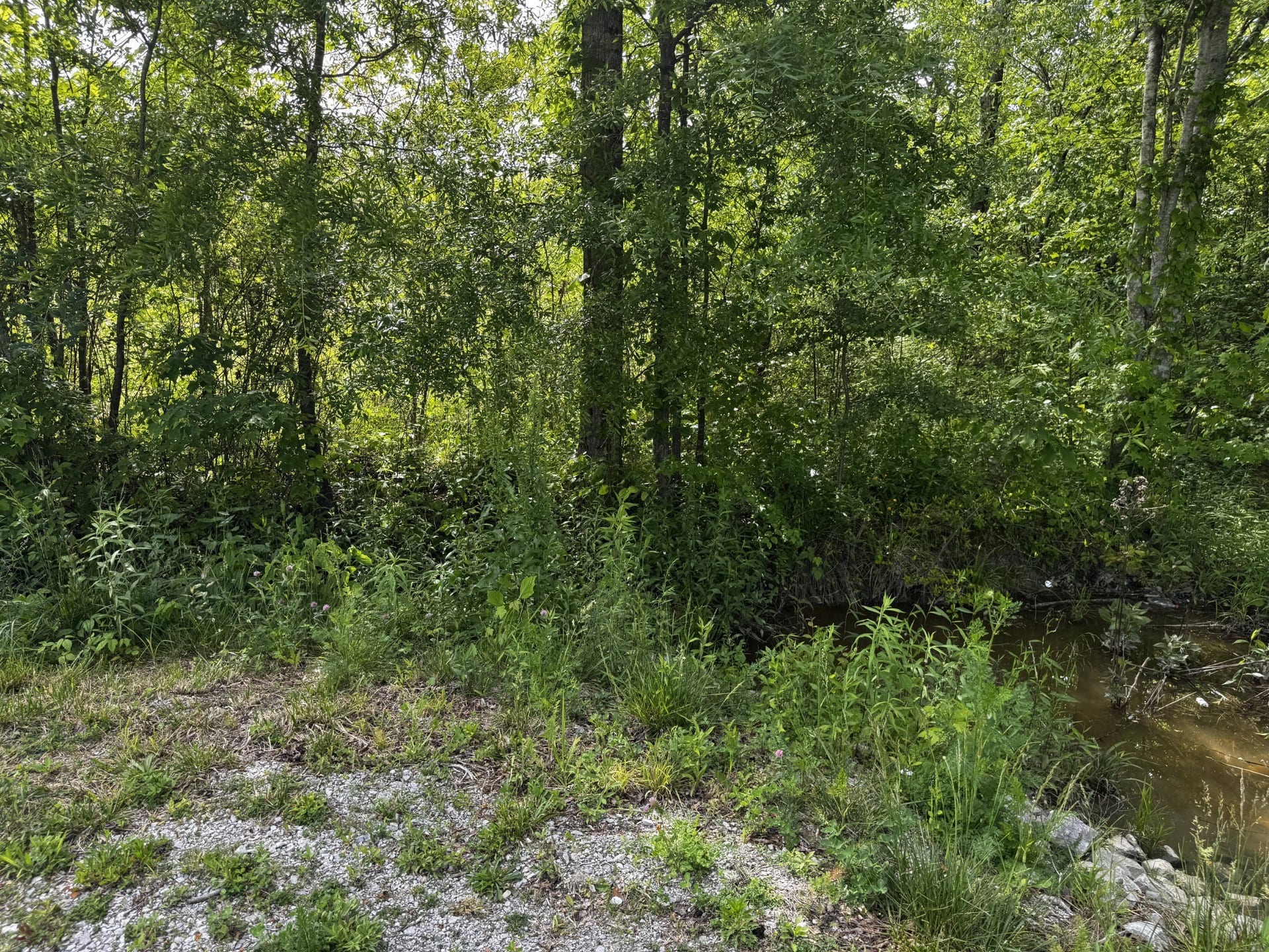 409 Commodore Dr, Manchester, TN 37355 409 Commodore Dr, Manchester, TN 37355