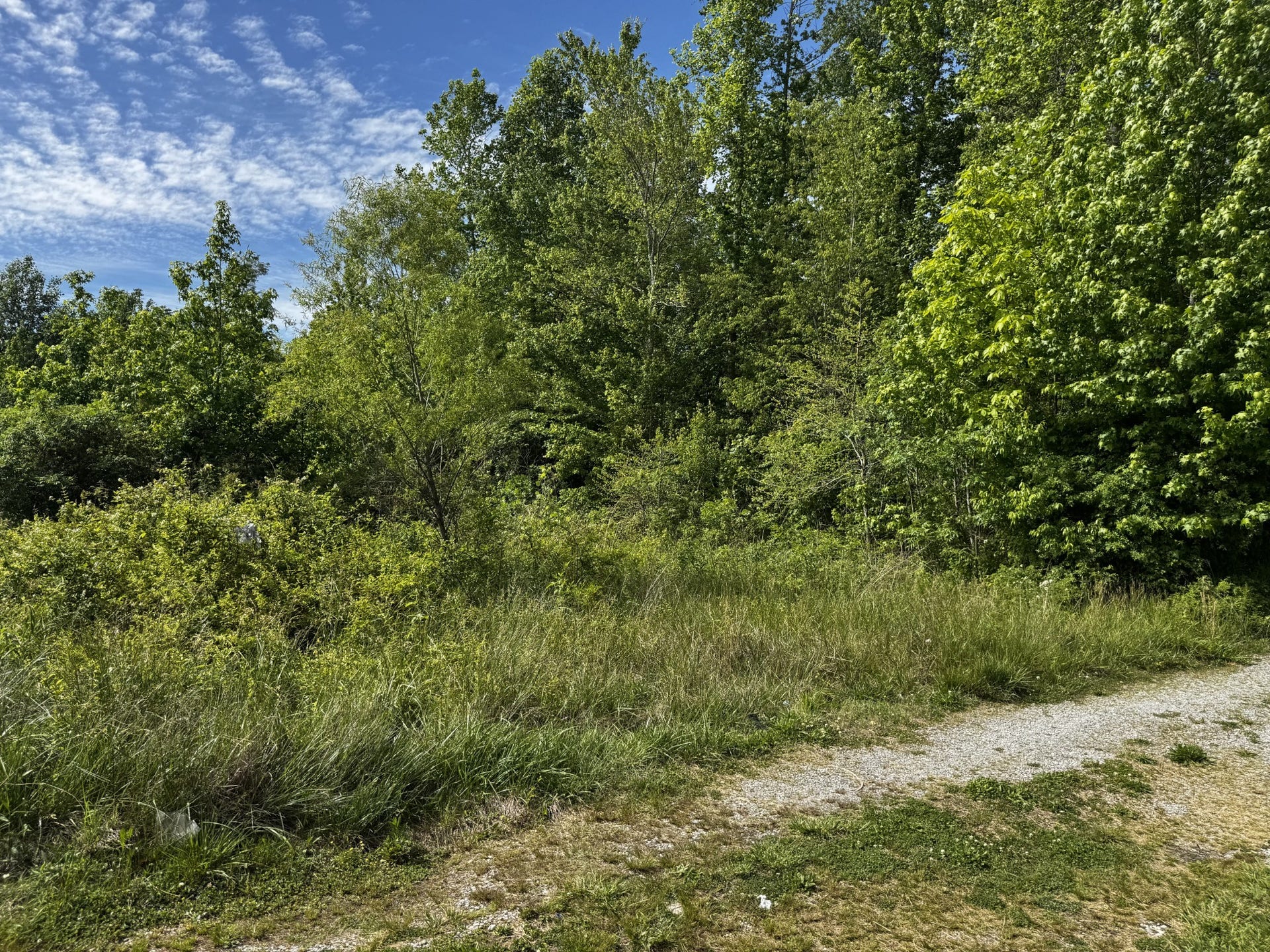 409 Commodore Dr, Manchester, TN 37355 409 Commodore Dr, Manchester, TN 37355