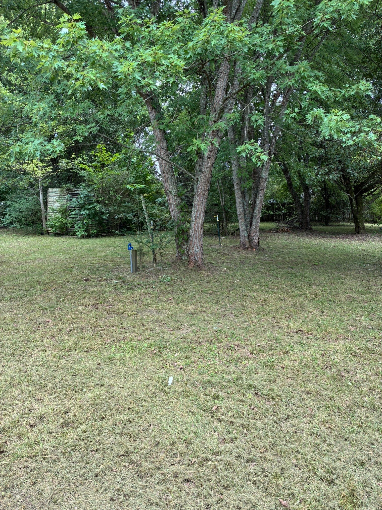141 Hollow Springs Rd, Woodbury, TN 37190 141 Hollow Springs Rd, Woodbury, TN 37190