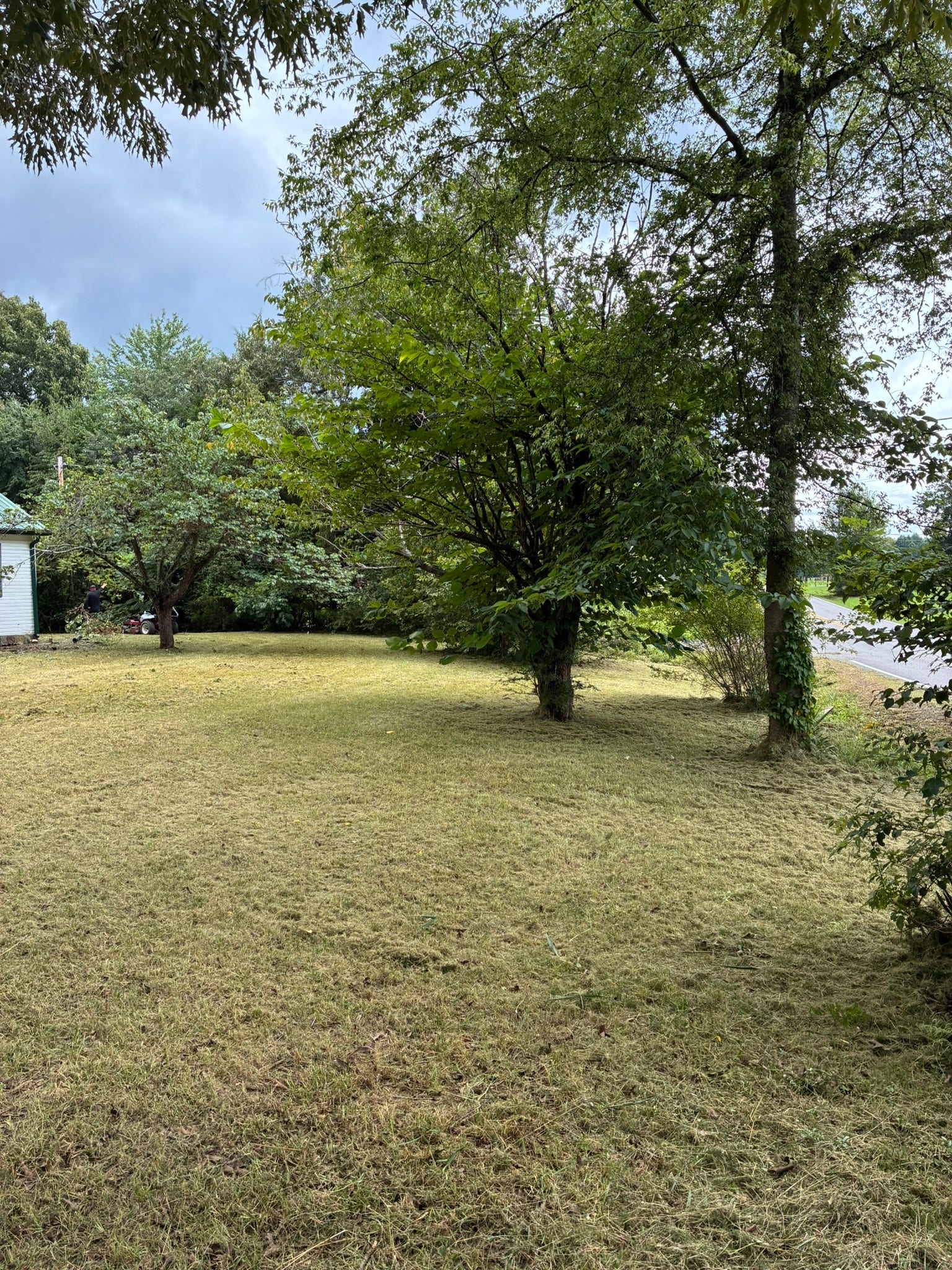 141 Hollow Springs Rd, Woodbury, TN 37190 141 Hollow Springs Rd, Woodbury, TN 37190