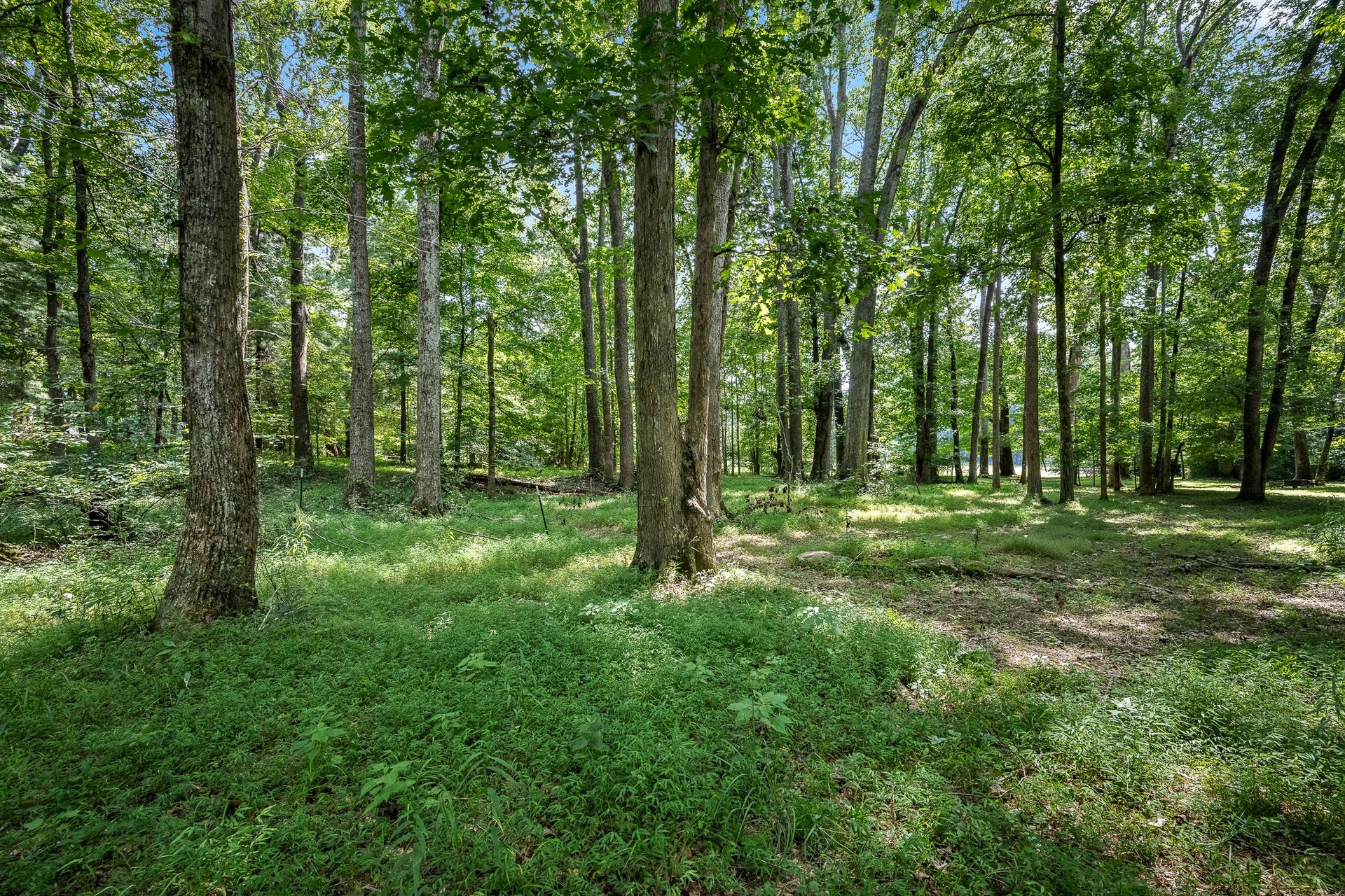 42 Hillwood Cir, Manchester, TN 37355 42 Hillwood Cir, Manchester, TN 37355