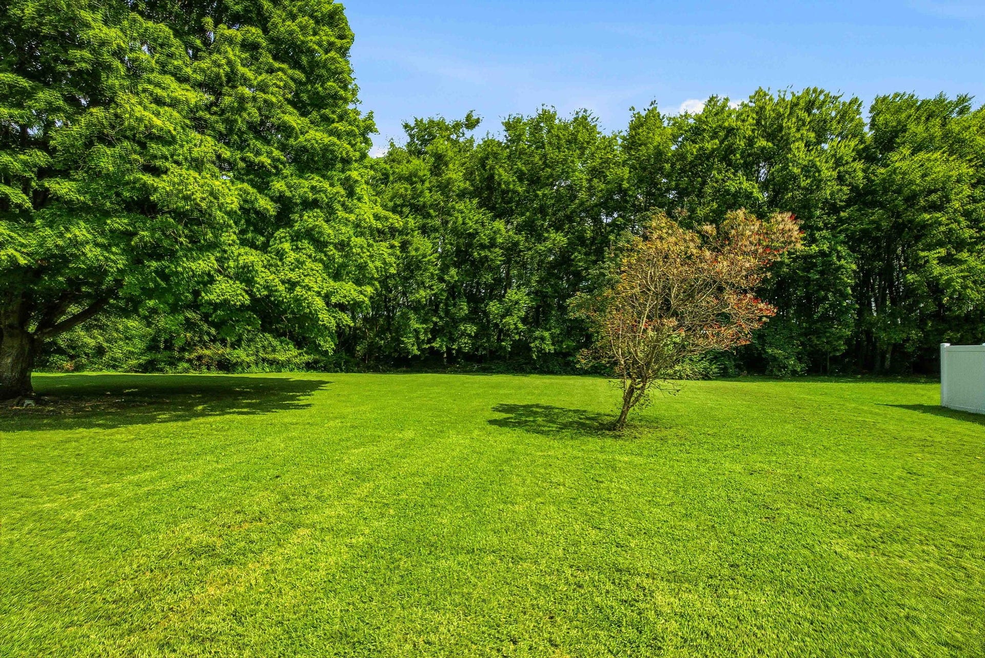 2316 Braxton Bragg Dr, Murfreesboro, TN 37129 2316 Braxton Bragg Dr, Murfreesboro, TN 37129