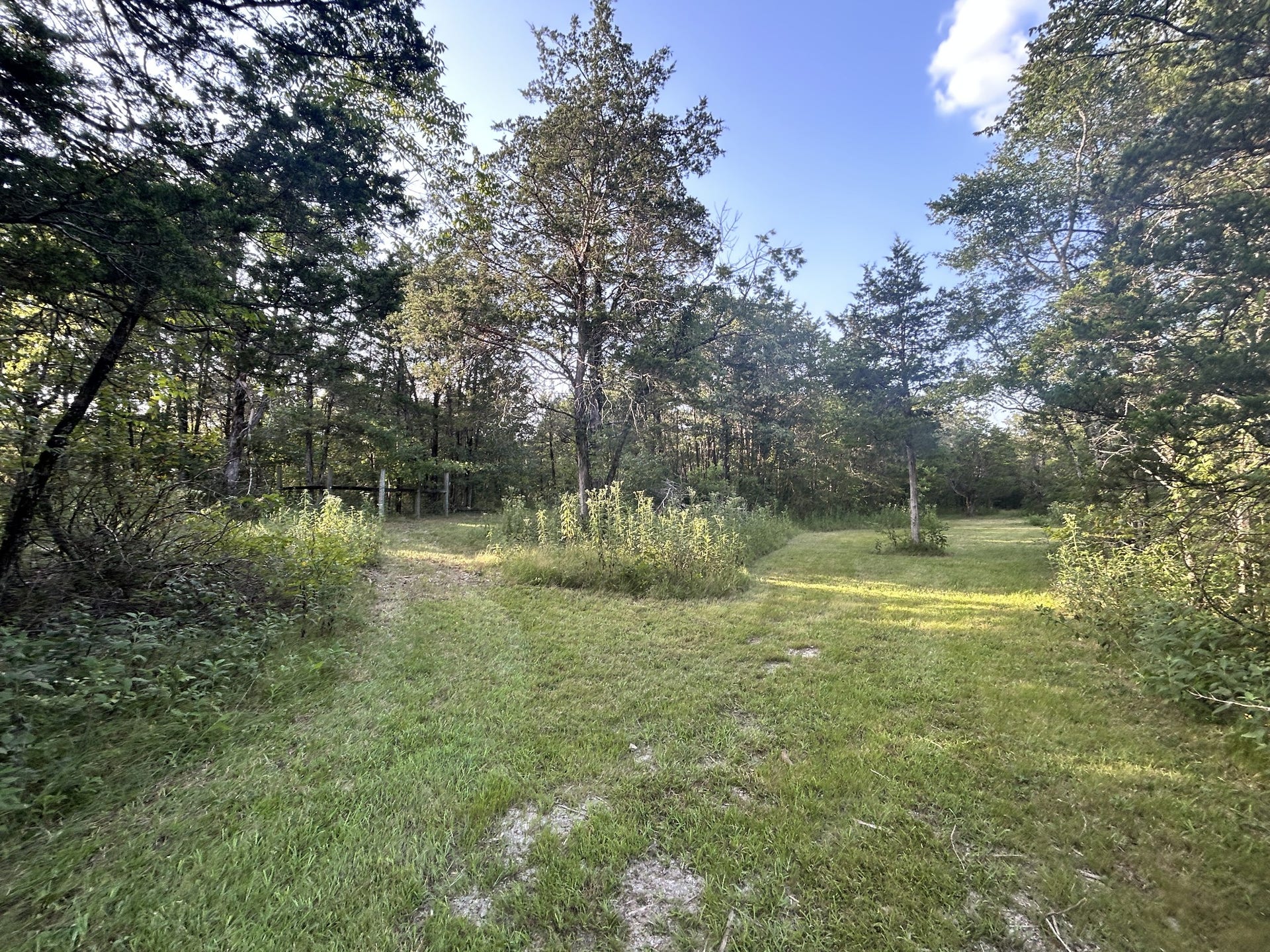 1420 S Berlin Rd, Lewisburg, TN 37091 1420 S Berlin Rd, Lewisburg, TN 37091