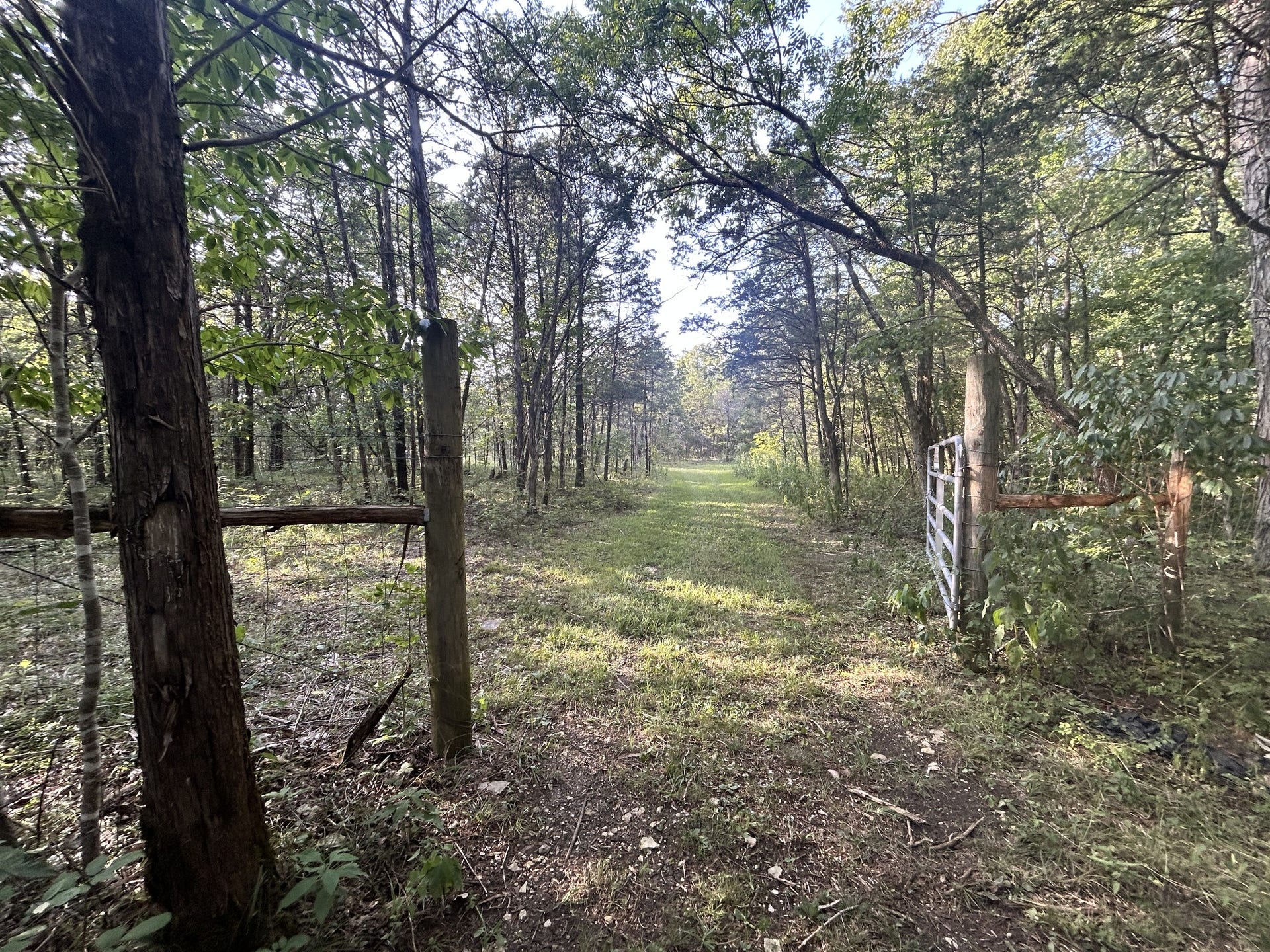 1420 S Berlin Rd, Lewisburg, TN 37091 1420 S Berlin Rd, Lewisburg, TN 37091