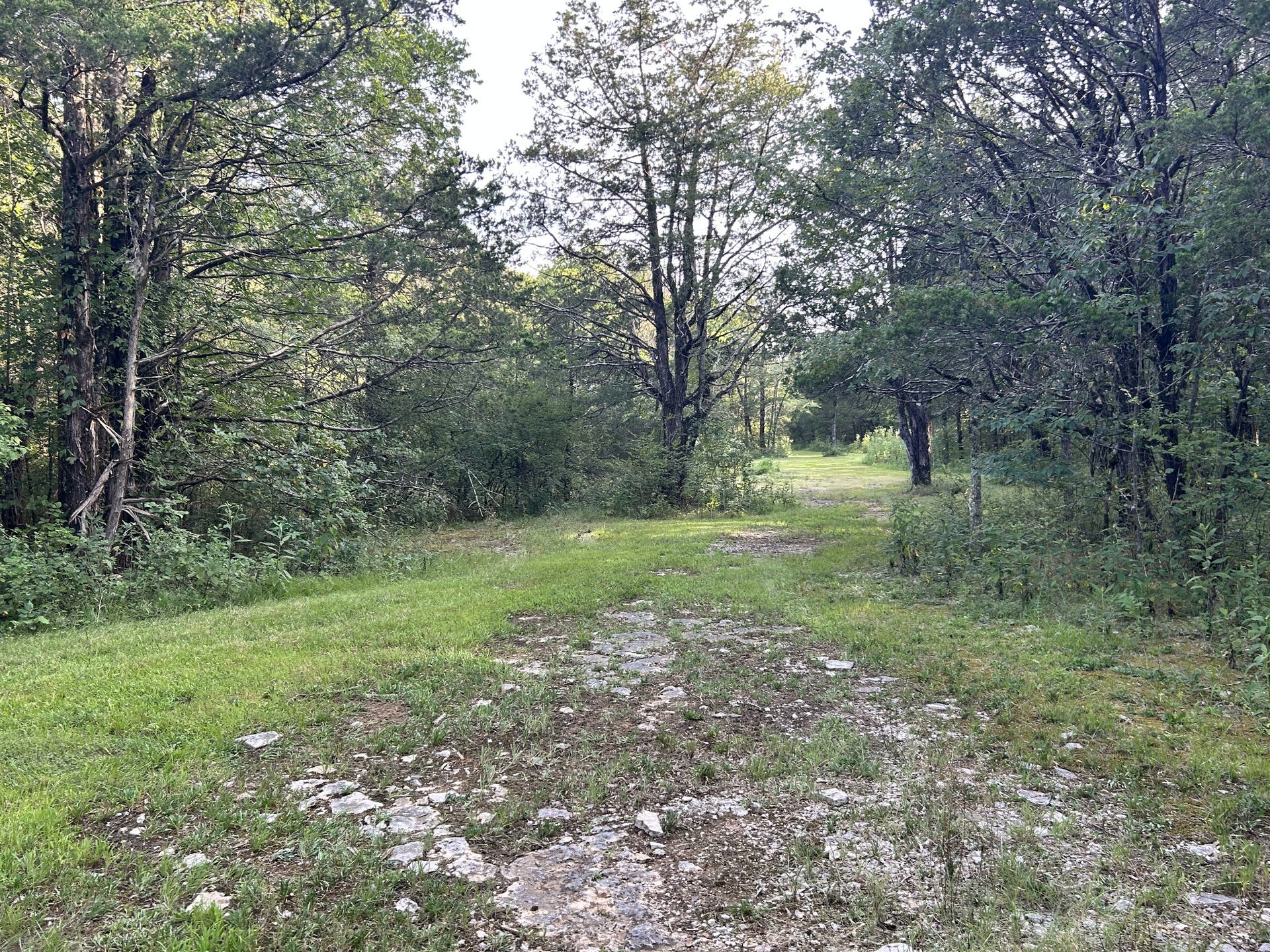 1420 S Berlin Rd, Lewisburg, TN 37091 1420 S Berlin Rd, Lewisburg, TN 37091