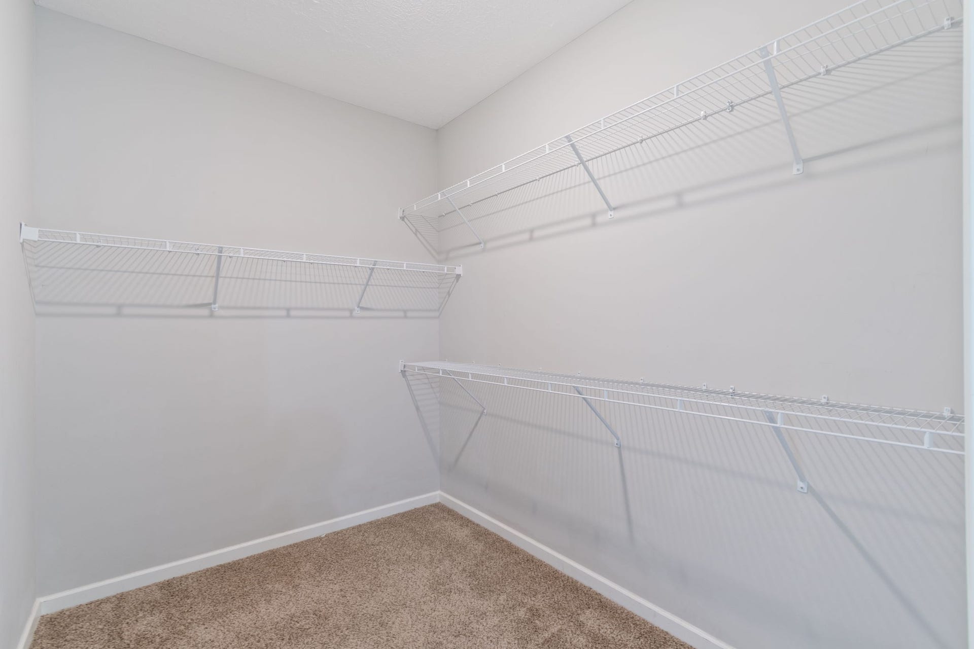 1504 Halverson Dr, Murfreesboro, TN 37128 Large Primary closet