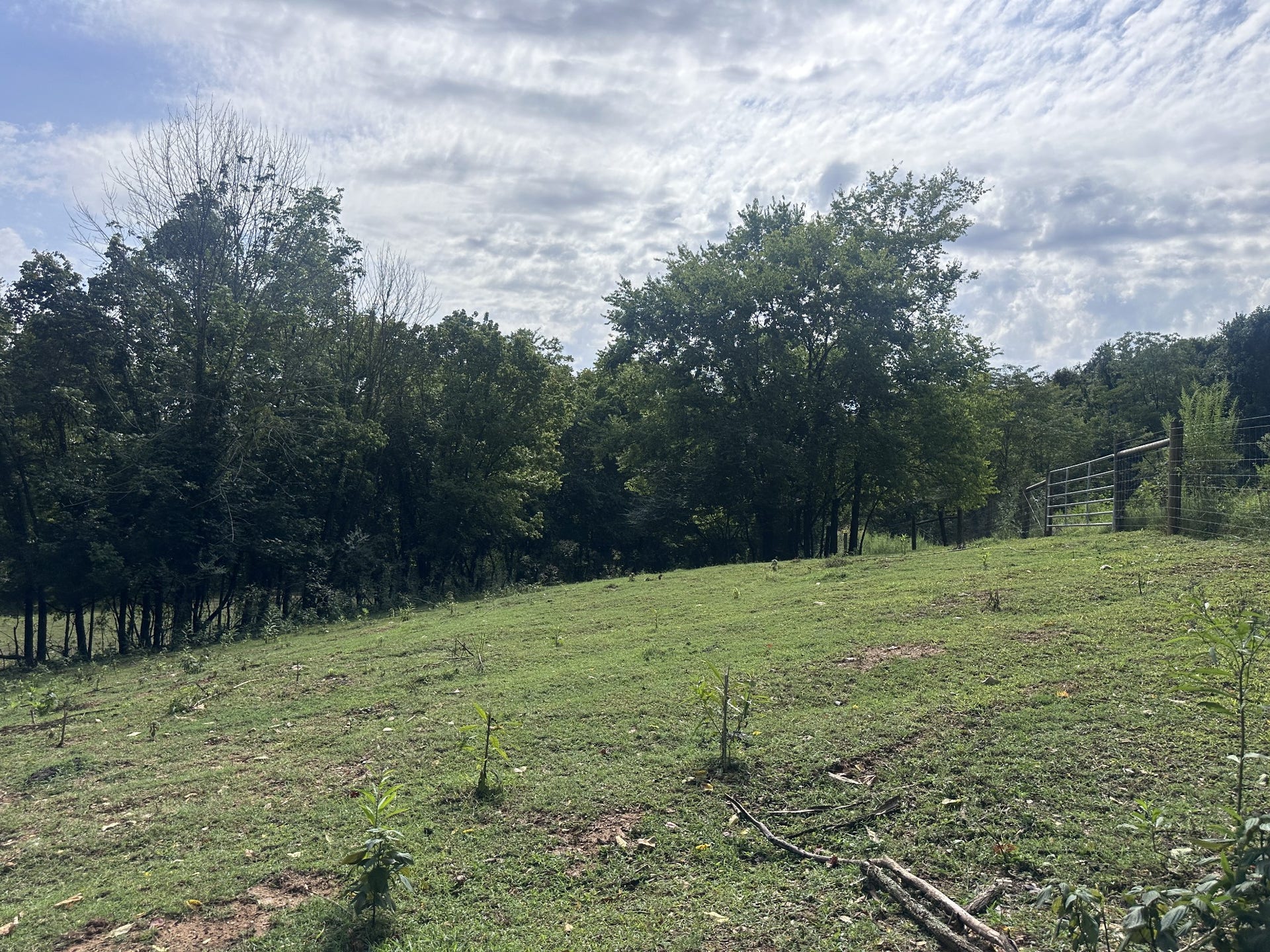 1820 New Highway 7, Columbia, TN 38401