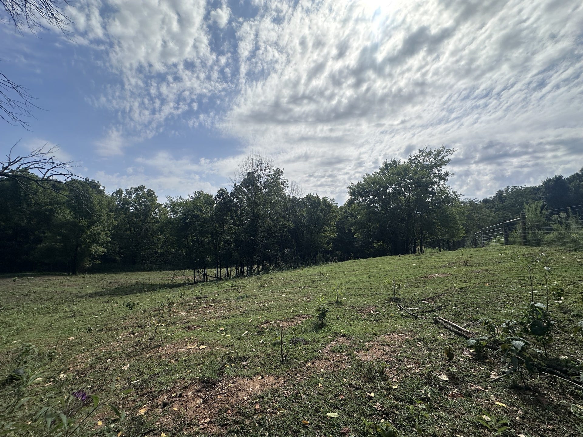 1820 New Highway 7, Columbia, TN 38401