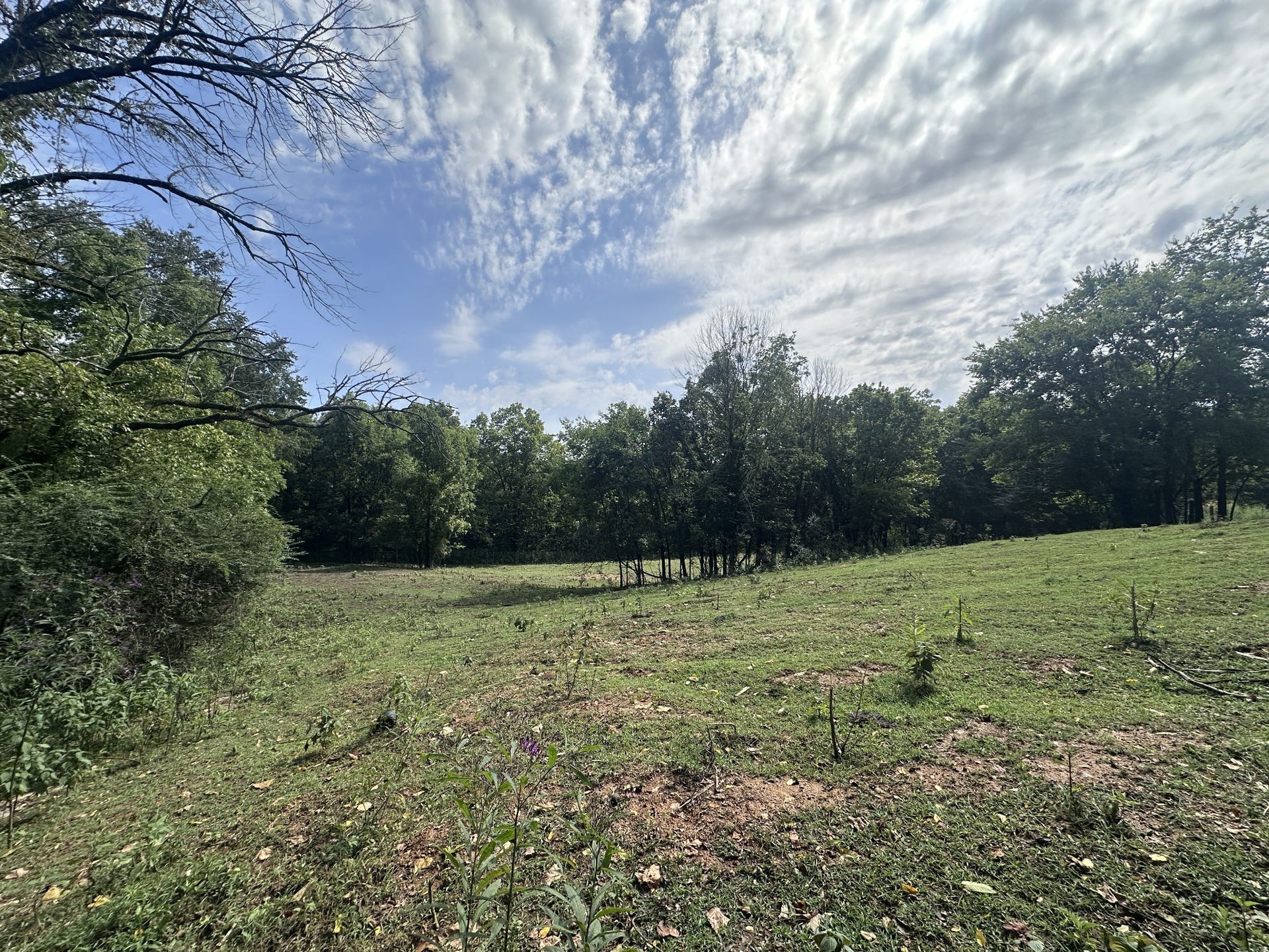 1820 New Highway 7, Columbia, TN 38401