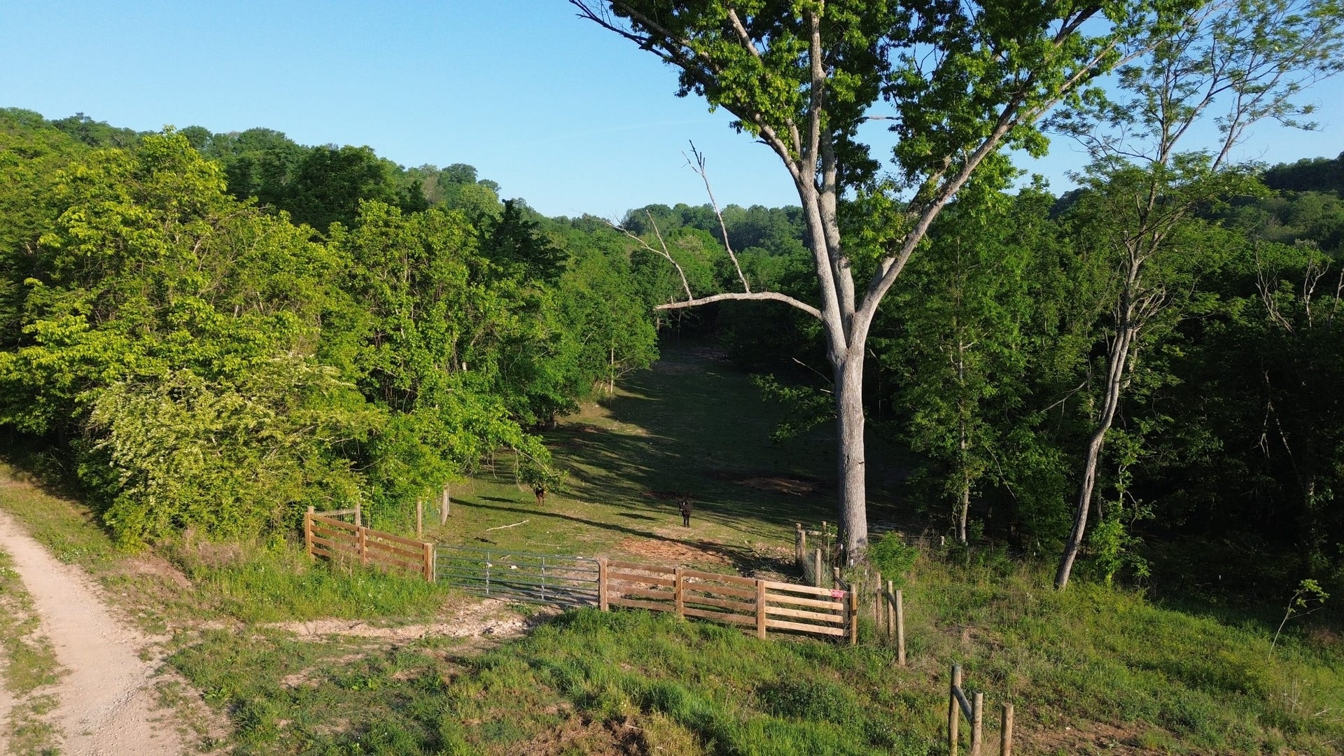 1820 New Highway 7, Columbia, TN 38401