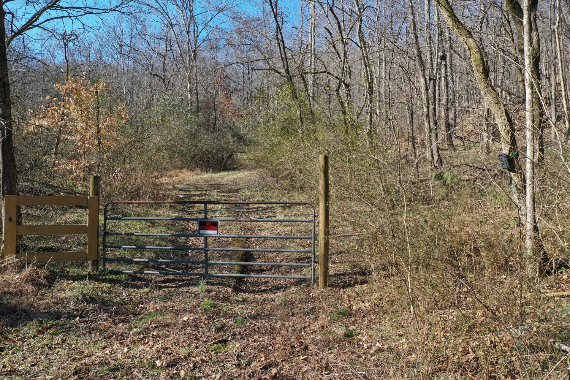 0 Dog Branch Rd, Mount Pleasant, TN 38474 0 Dog Branch Rd, Mount Pleasant, TN 38474