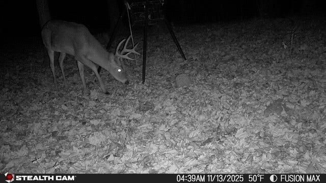 0 Dog Branch Rd, Mount Pleasant, TN 38474 0 Dog Branch Rd, Mount Pleasant, TN 38474