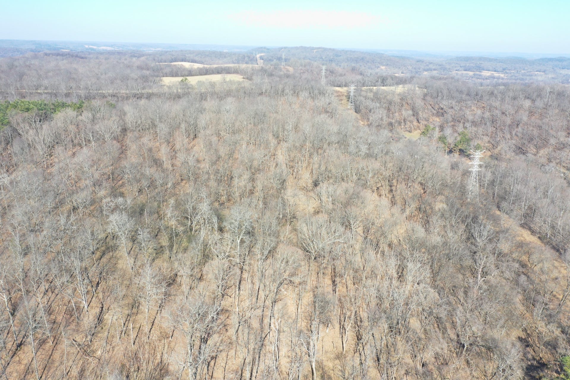 0 Dog Branch Rd, Mount Pleasant, TN 38474 0 Dog Branch Rd, Mount Pleasant, TN 38474