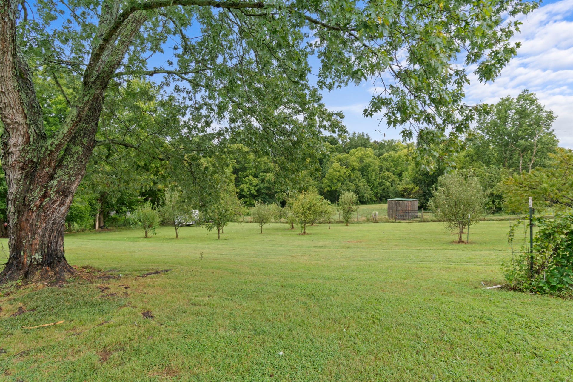 3689 Trousdale Ln, Columbia, TN 38401 3689 Trousdale Ln, Columbia, TN 38401